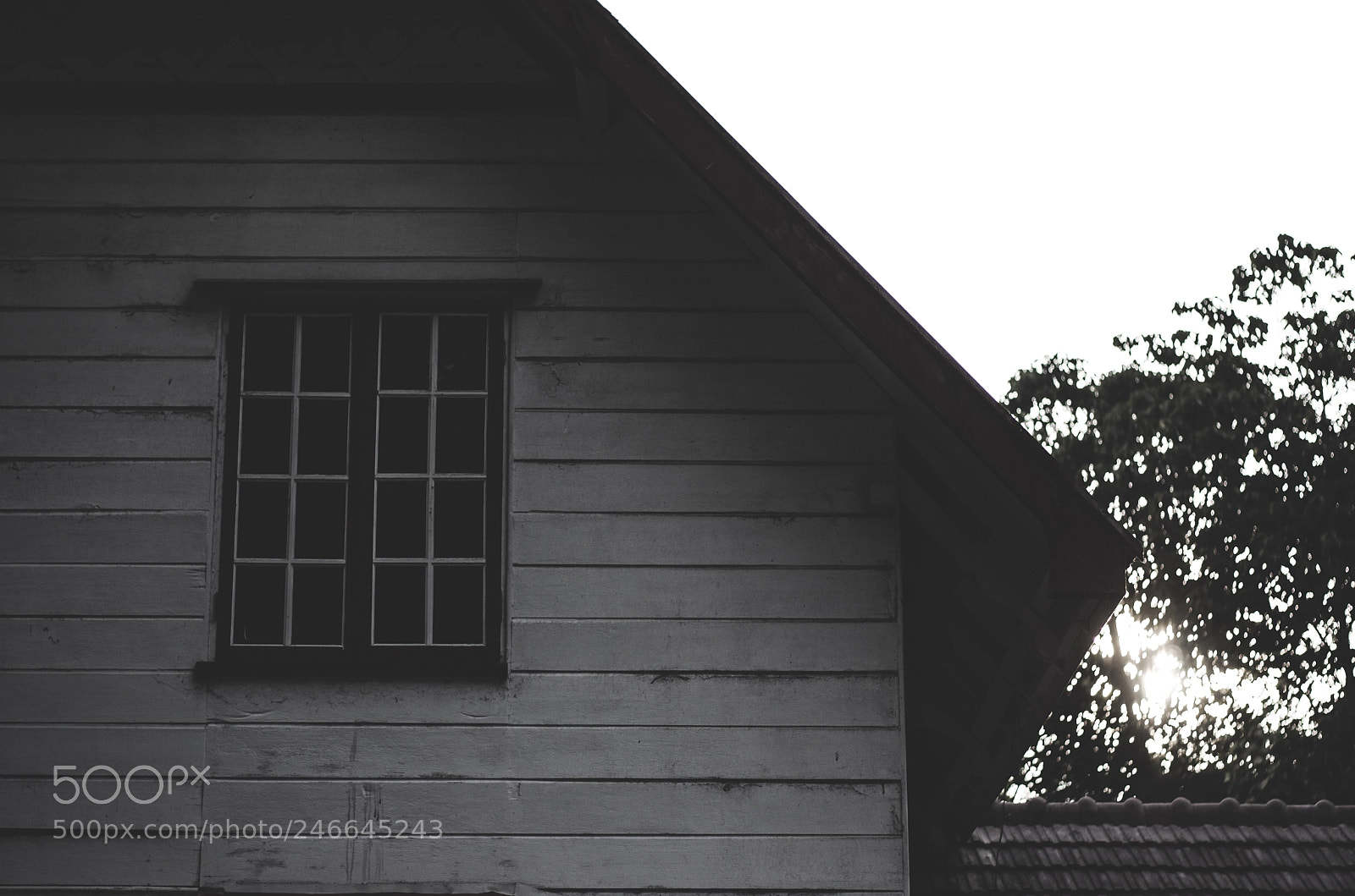 Nikon D5100 sample photo. Silent photography