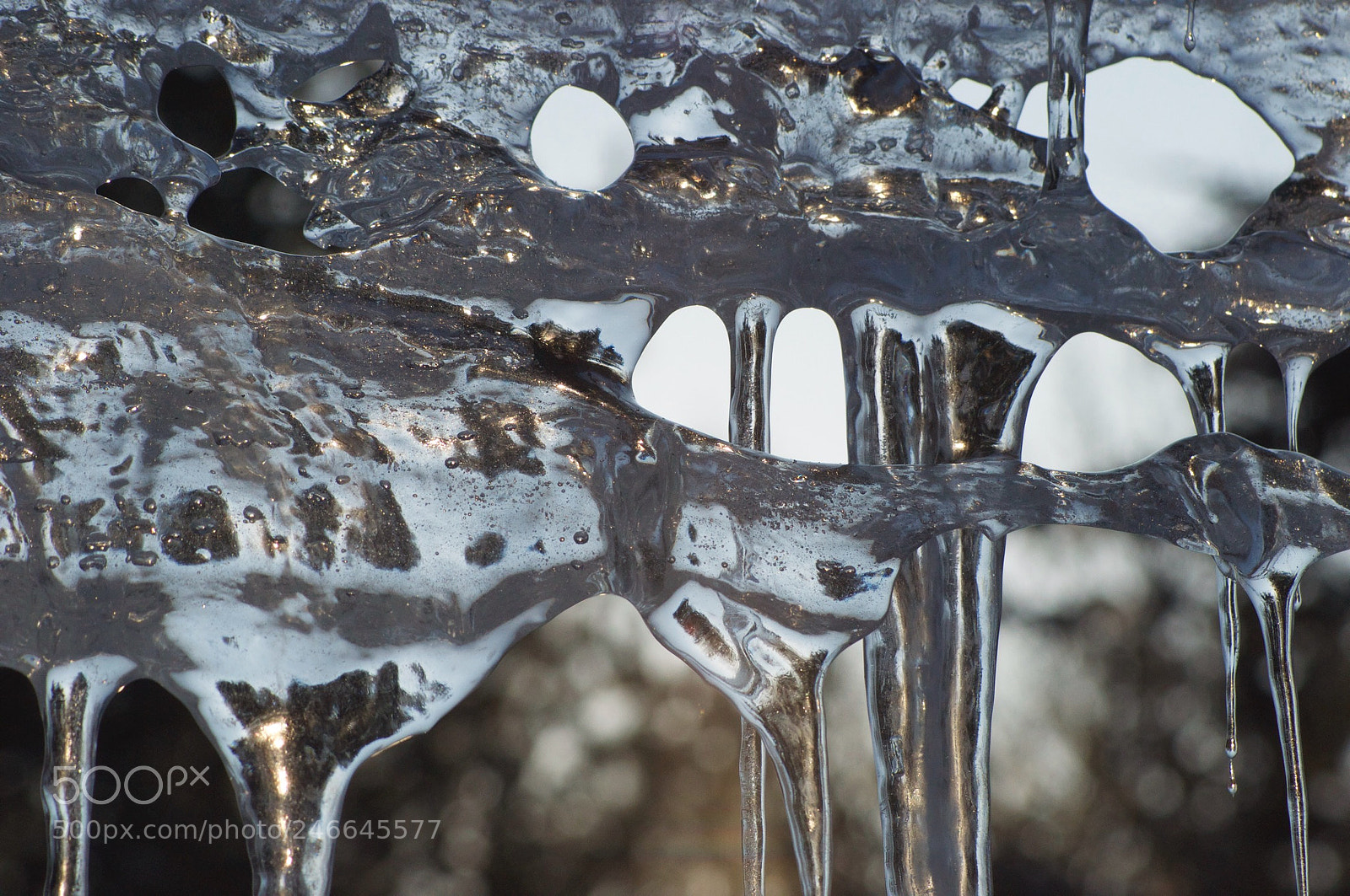Nikon D90 sample photo. Untitled photography
