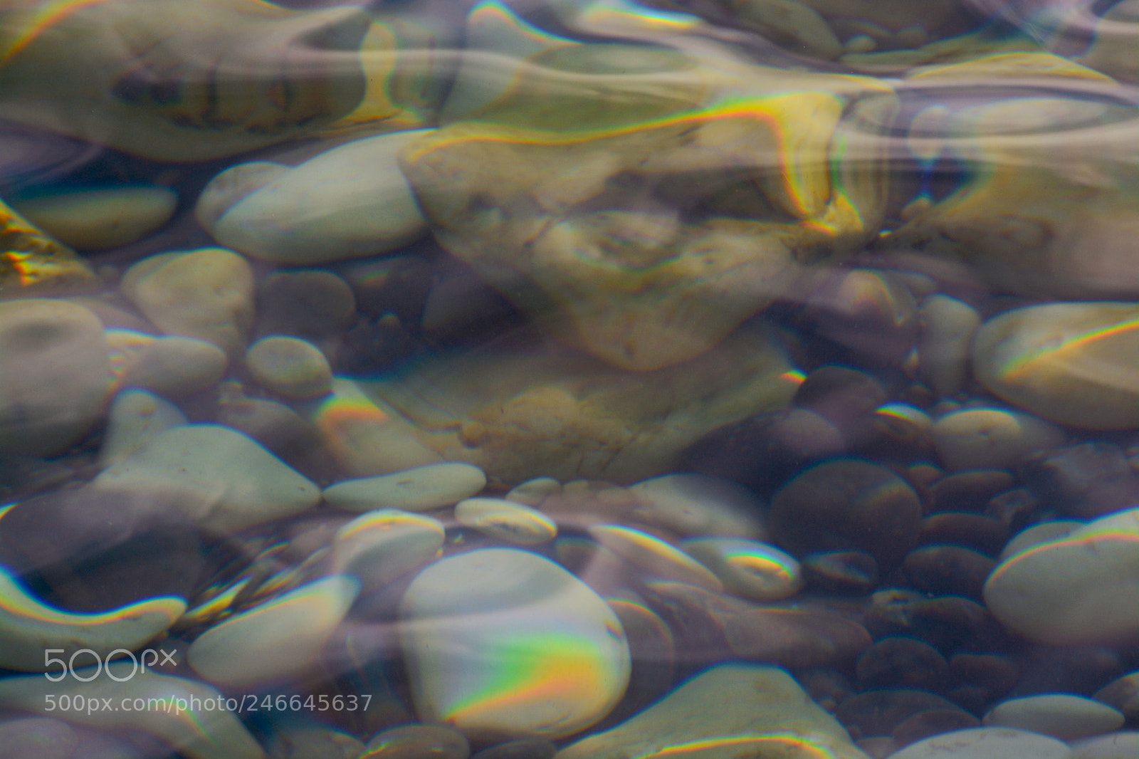 Nikon D5200 sample photo. Liquid rainbow photography