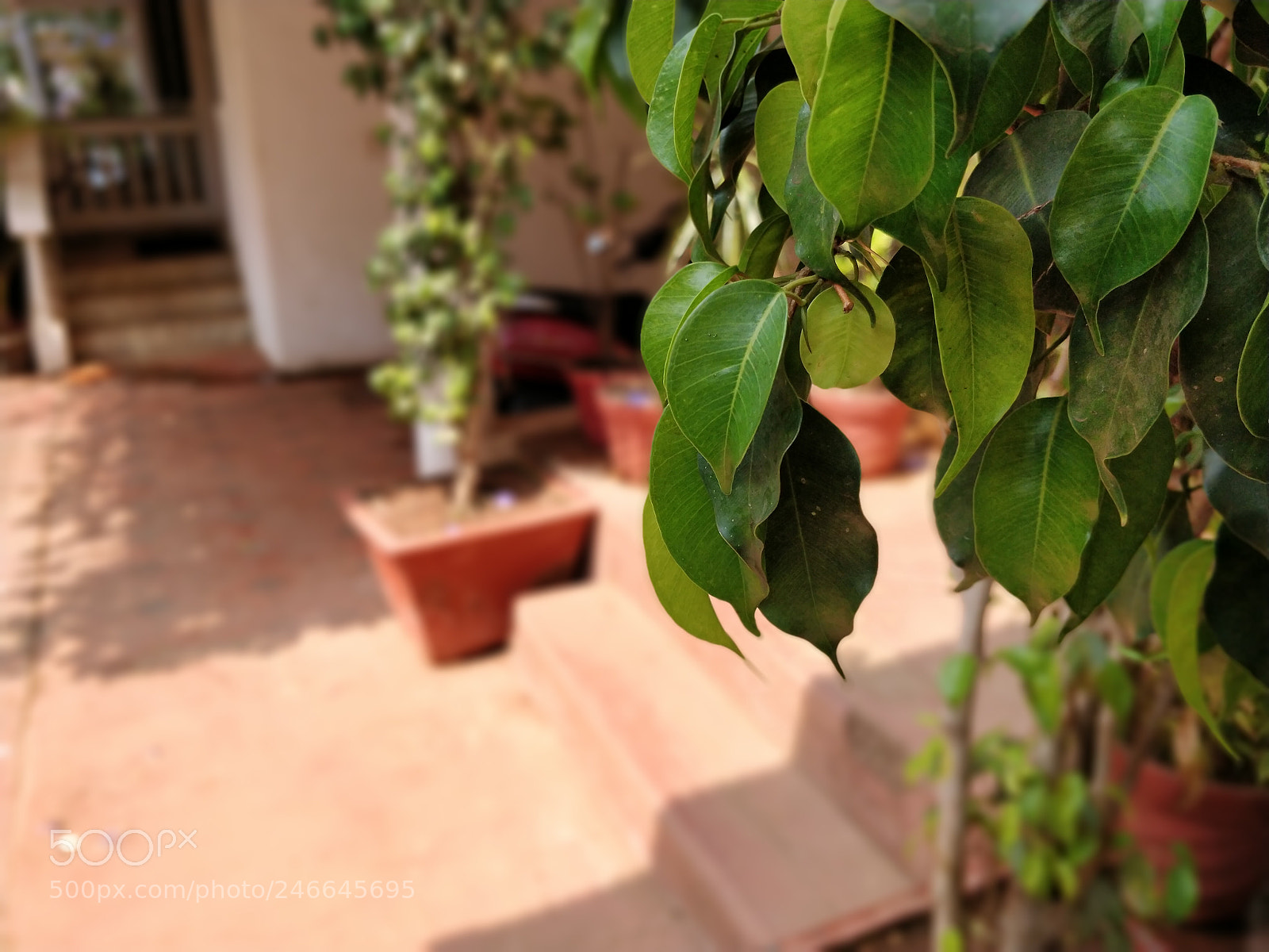 OnePlus 5T sample photo. Untitled photography