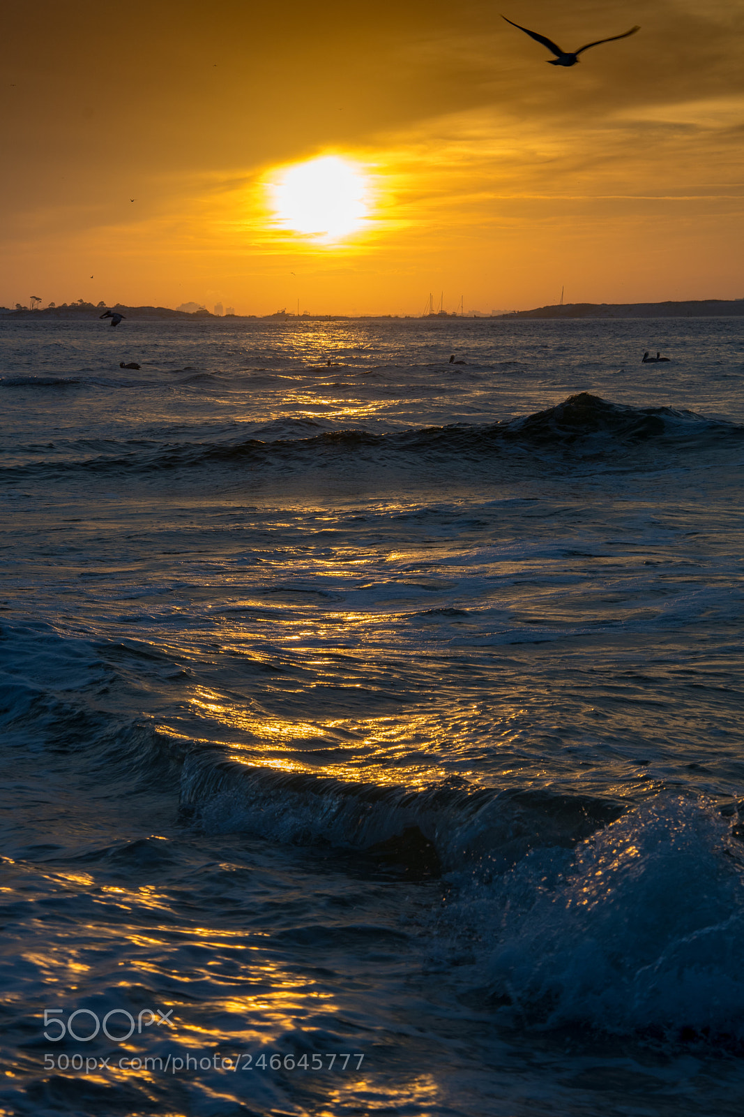 Nikon D500 sample photo. Fort pickens sunset photography