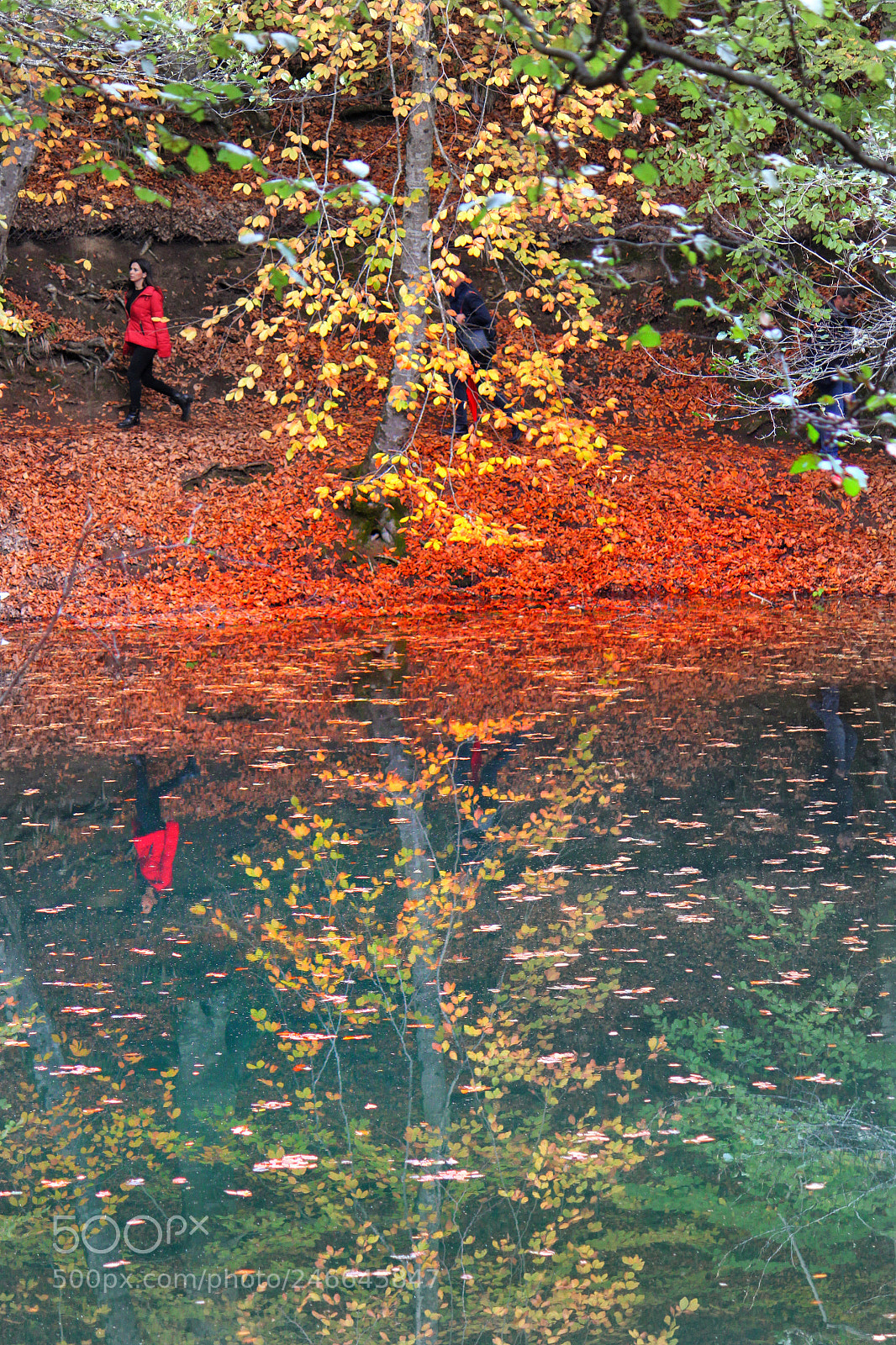 Canon EOS 500D (EOS Rebel T1i / EOS Kiss X3) sample photo. Colors of autumn photography