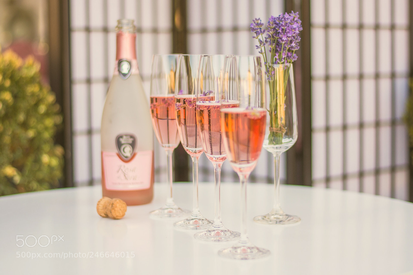 Nikon D7200 sample photo. Prosecco photography
