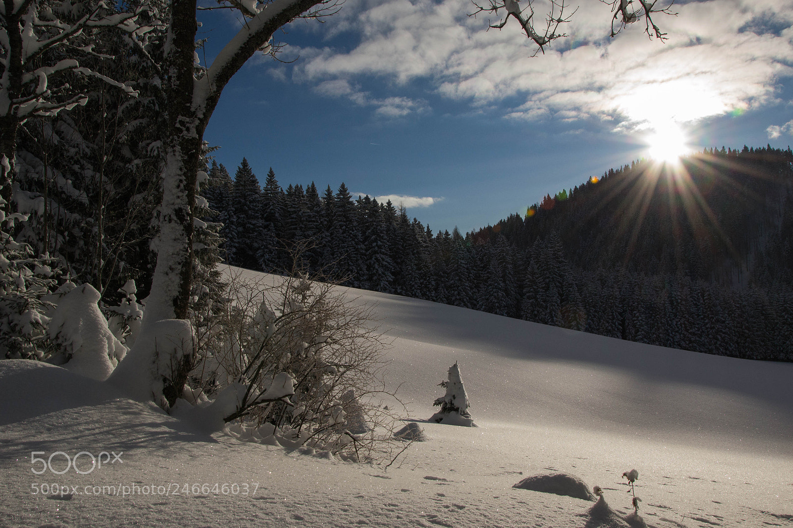 Nikon D3100 sample photo. Tirolerkogel () photography