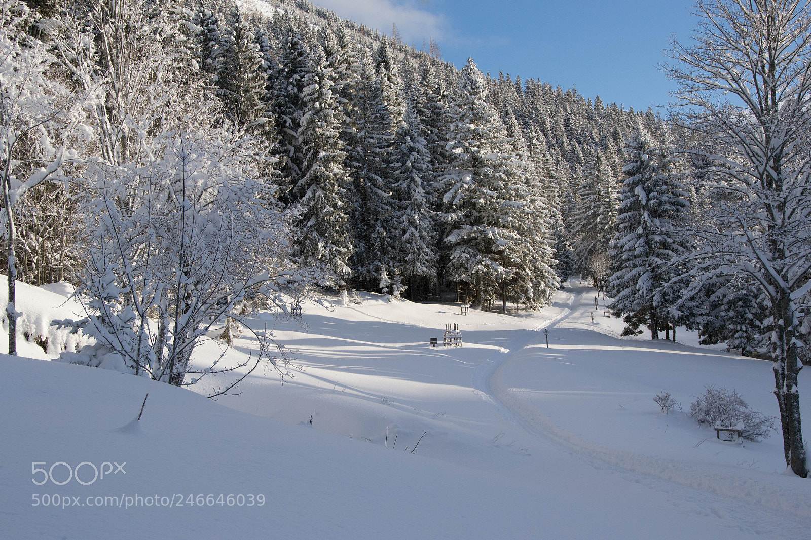 Nikon D3100 sample photo. Tirolerkogel () photography