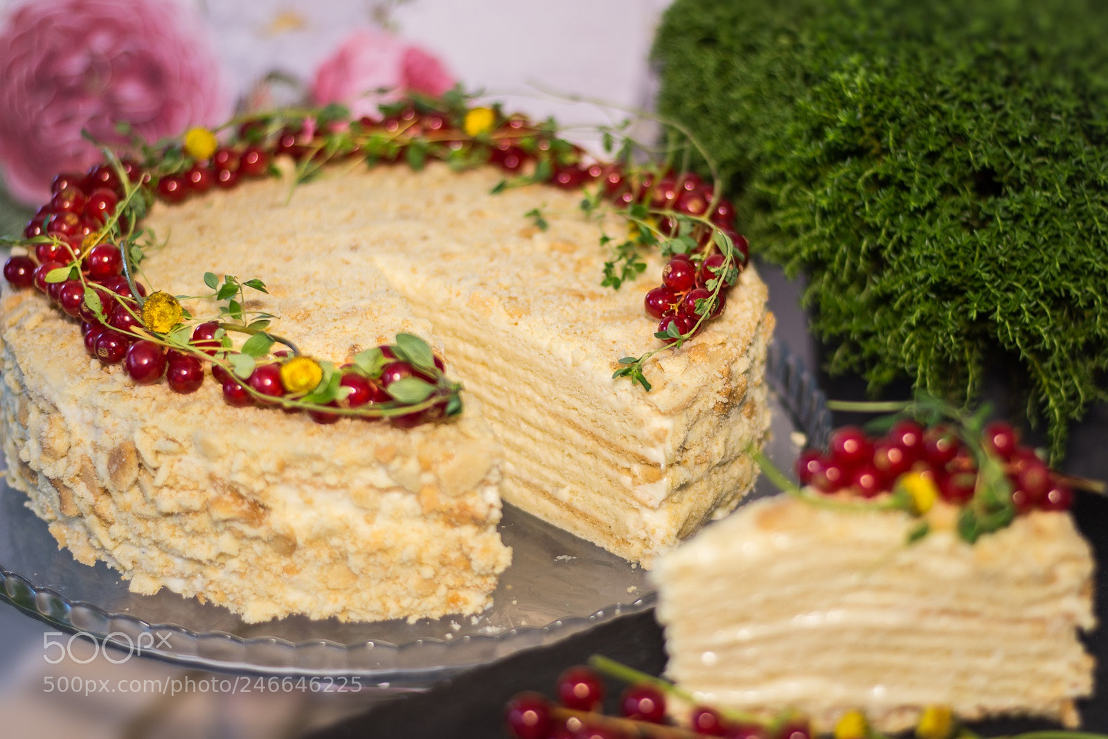 Nikon D7200 sample photo. A cake napoleon photography
