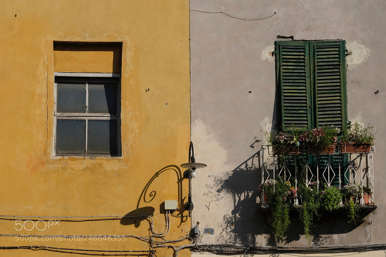 Fujifilm X-E3 sample photo. Neighbours photography
