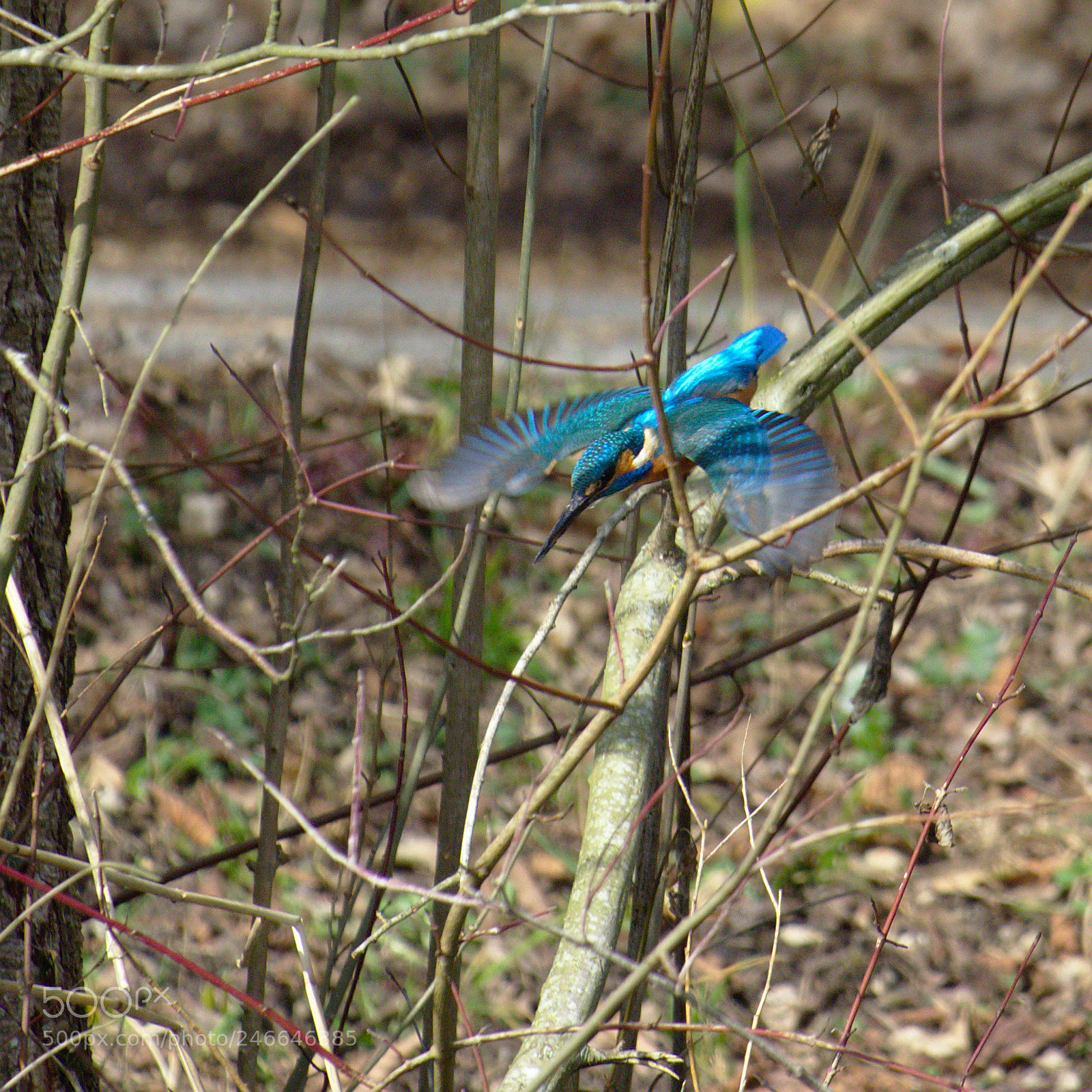 Olympus OM-D E-M10 sample photo. The return of the photography
