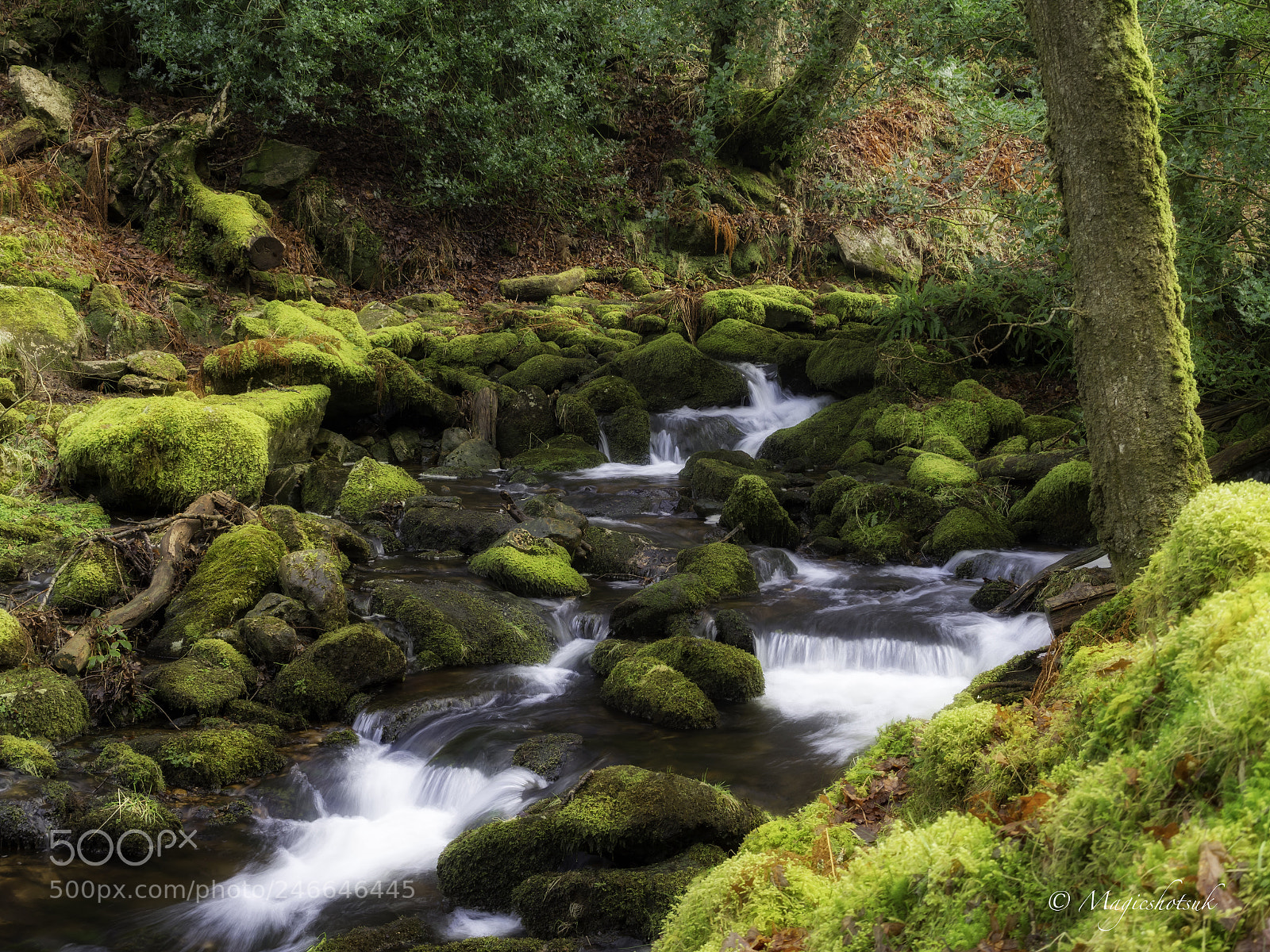 Olympus OM-D E-M1 Mark II sample photo. Flow of the stream photography