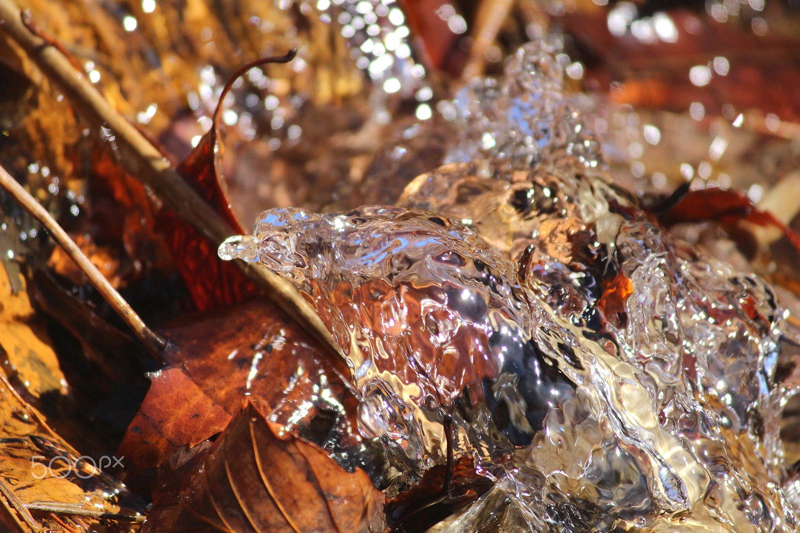 Canon EOS 100D (EOS Rebel SL1 / EOS Kiss X7) sample photo. Shining water photography
