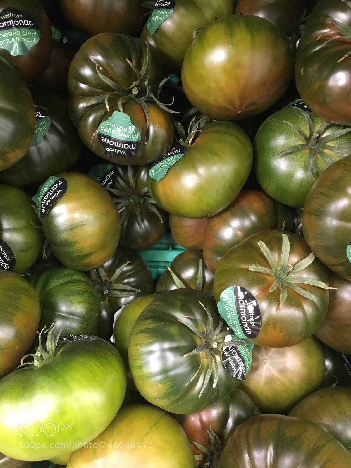 Apple iPhone 6s sample photo. Tomatoes photography