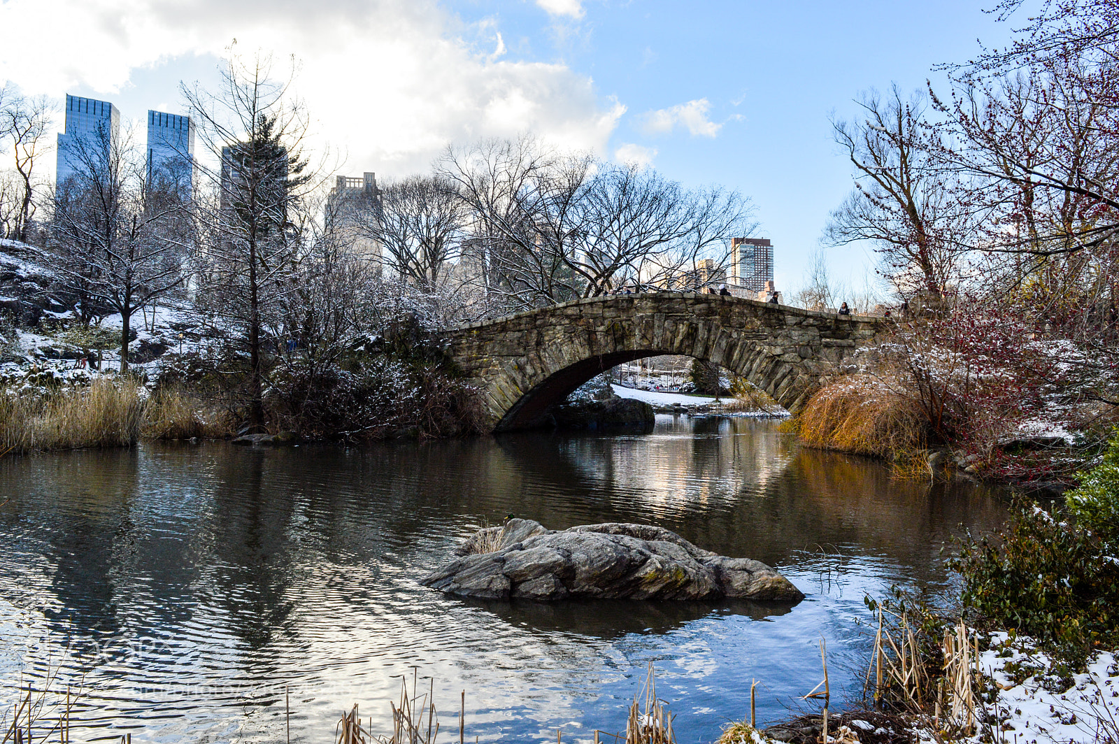 Nikon D3200 sample photo. Gapstow bridge in central photography