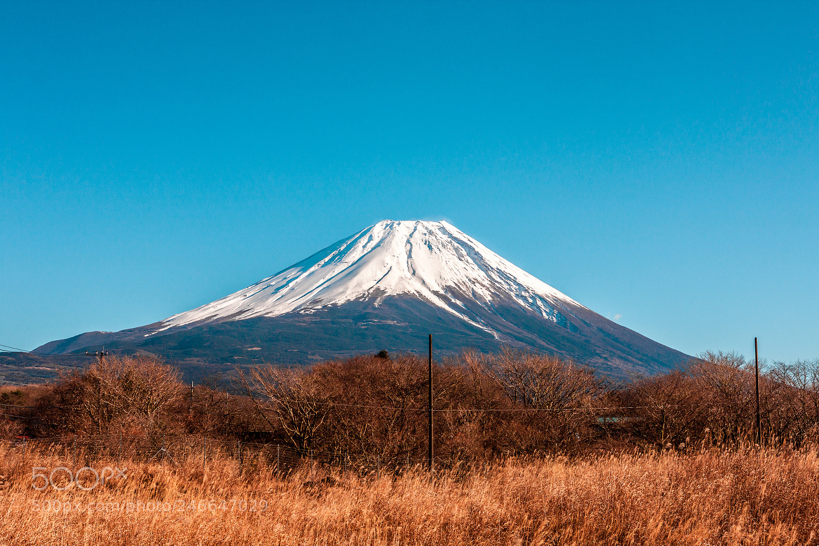 Canon EOS 500D (EOS Rebel T1i / EOS Kiss X3) sample photo. Mount fuji photography