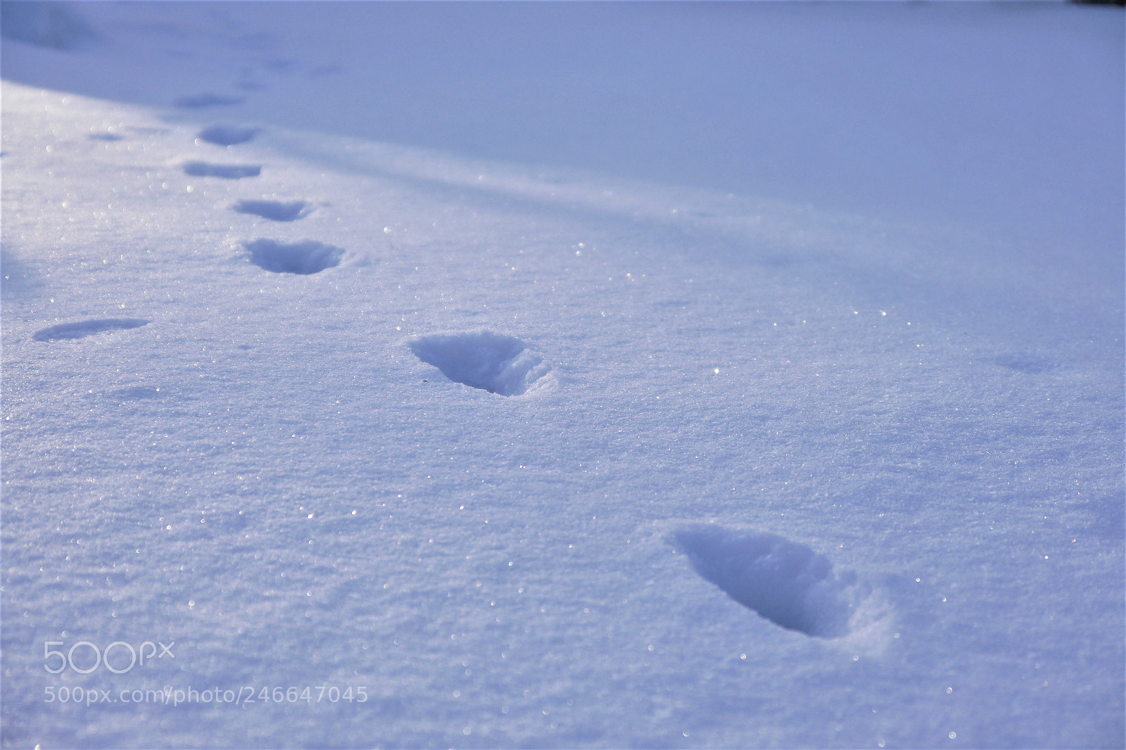 Panasonic Lumix DMC-G5 sample photo. Footprints photography
