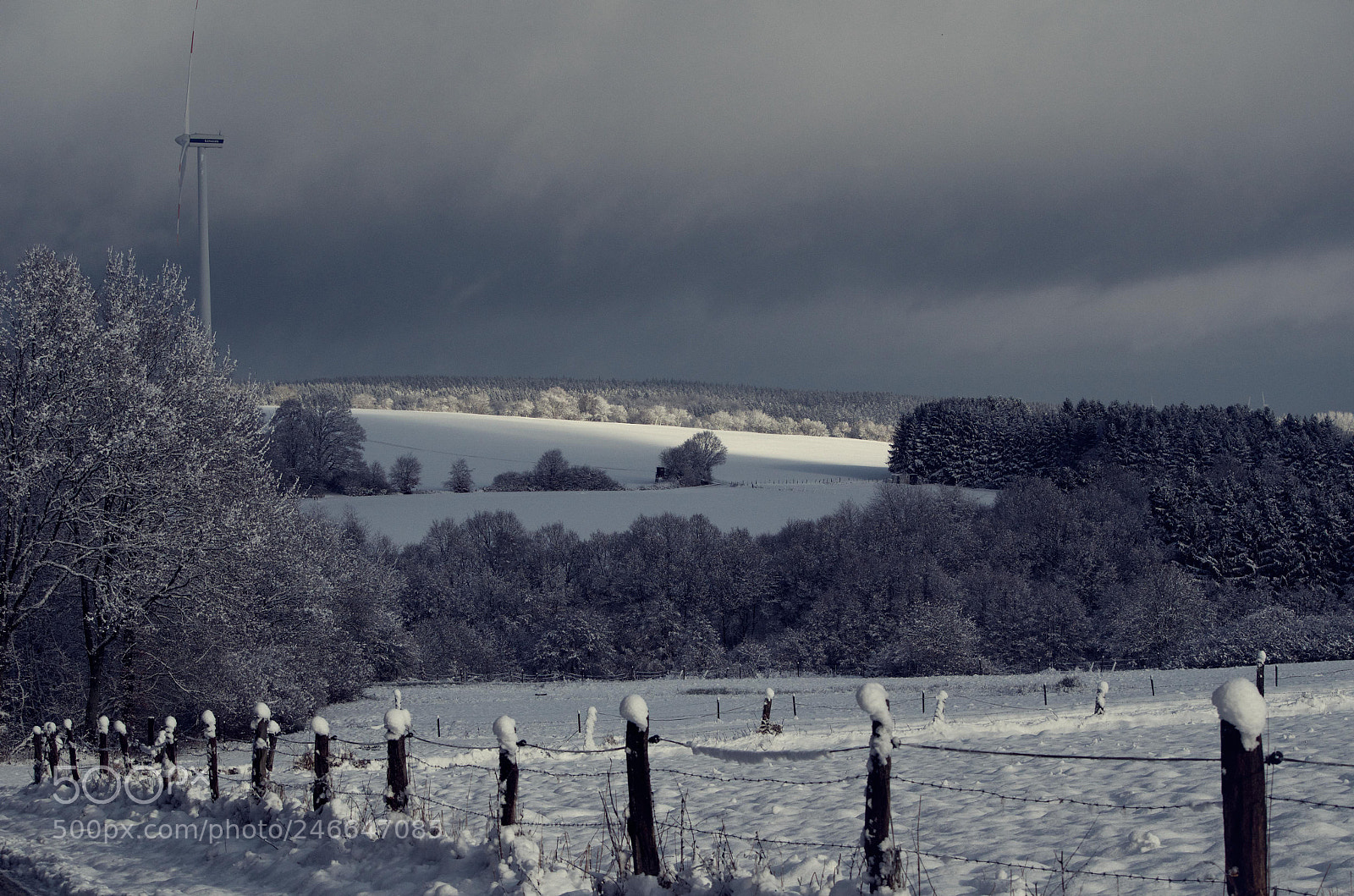 Nikon D5100 sample photo. Dark winter morning photography