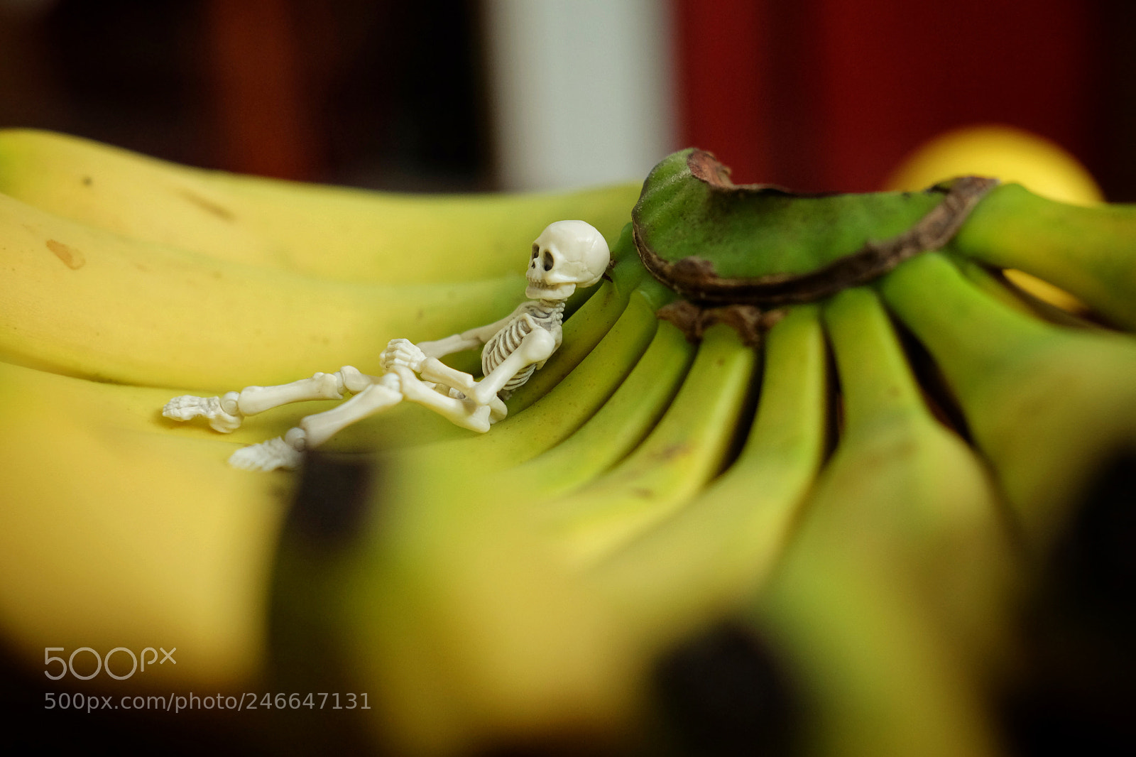 Fujifilm X-T10 sample photo. Banana photography