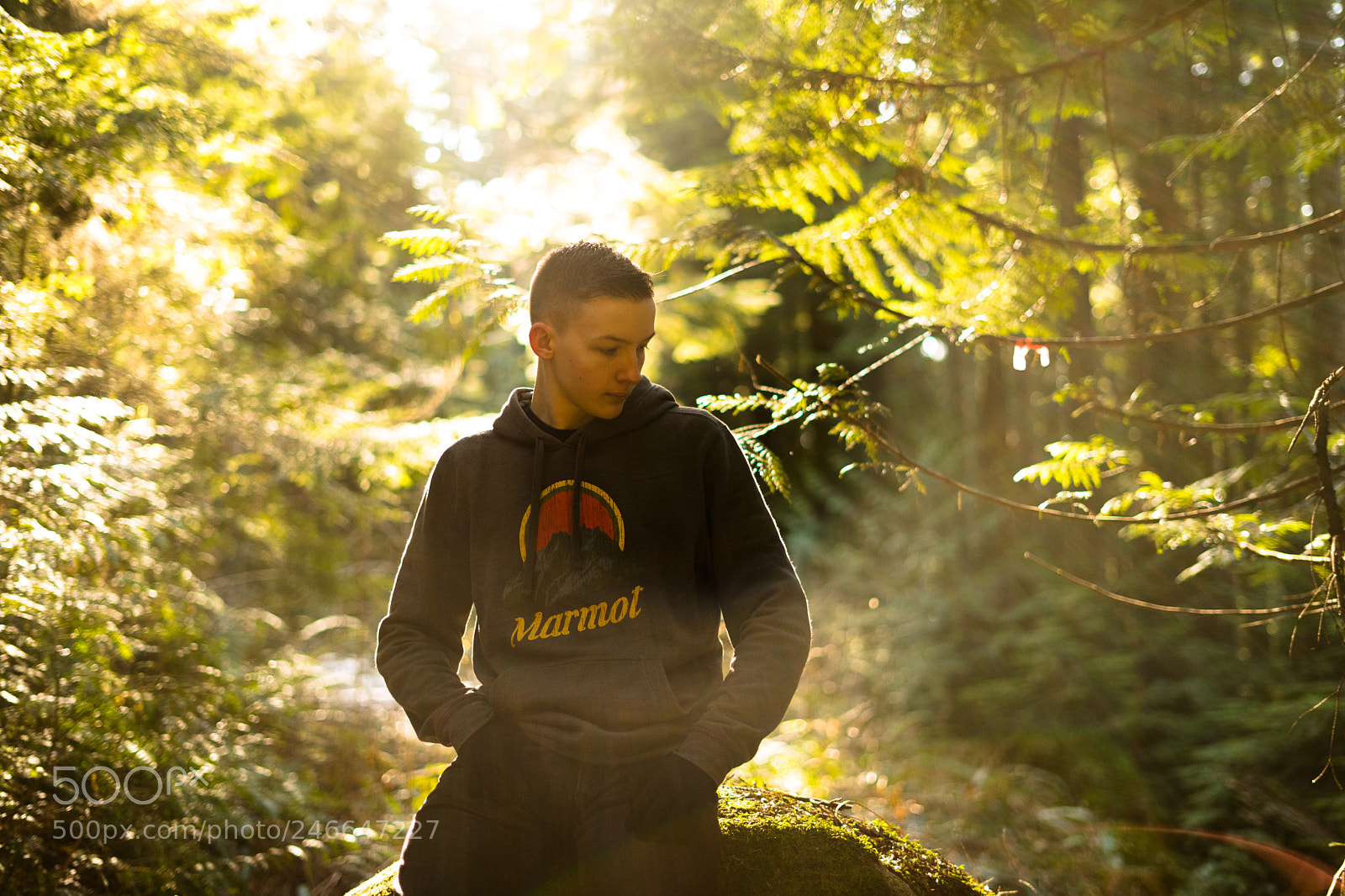 Sony a7 II sample photo. Hiking adventures photography