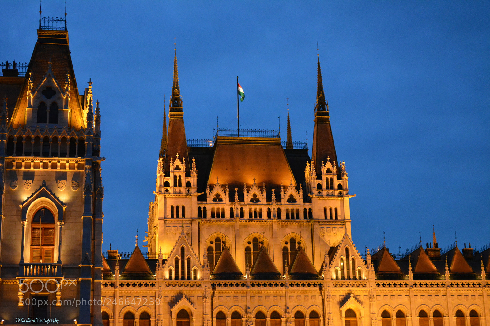 Nikon D5200 sample photo. Close-up of the hungarian photography