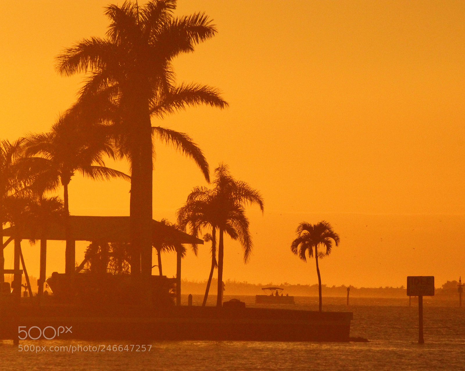 Canon EOS 7D sample photo. Gold orange sunset florida photography