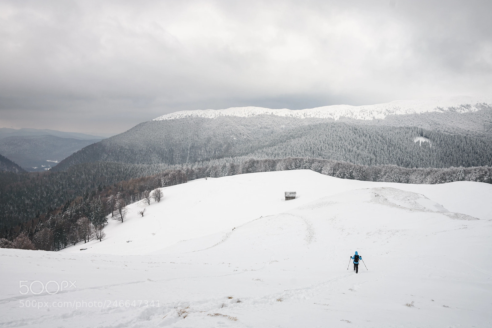 Nikon D7200 sample photo. Winter in ciucas photography