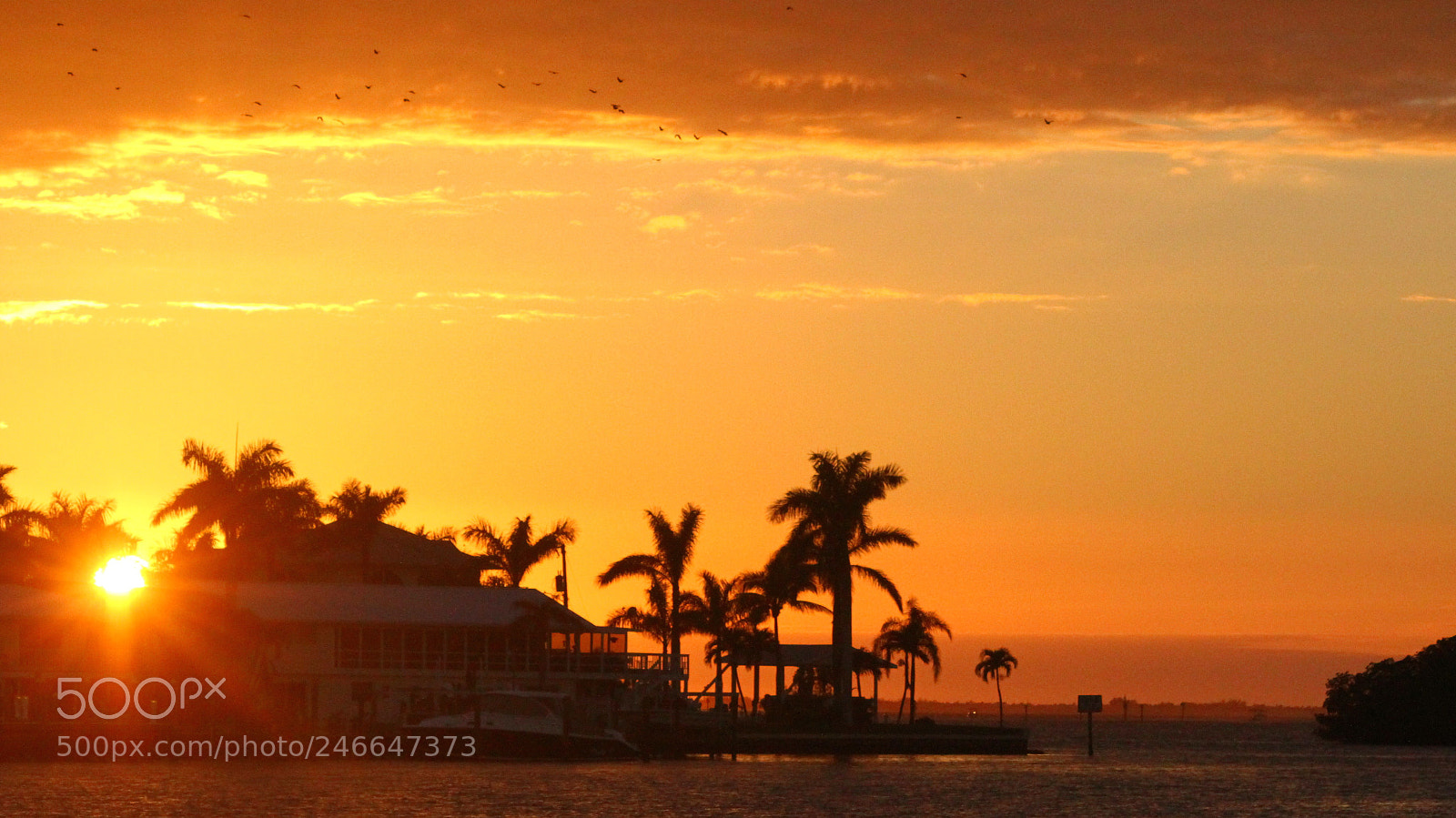 Canon EOS 7D sample photo. Bird sunset sw florida photography