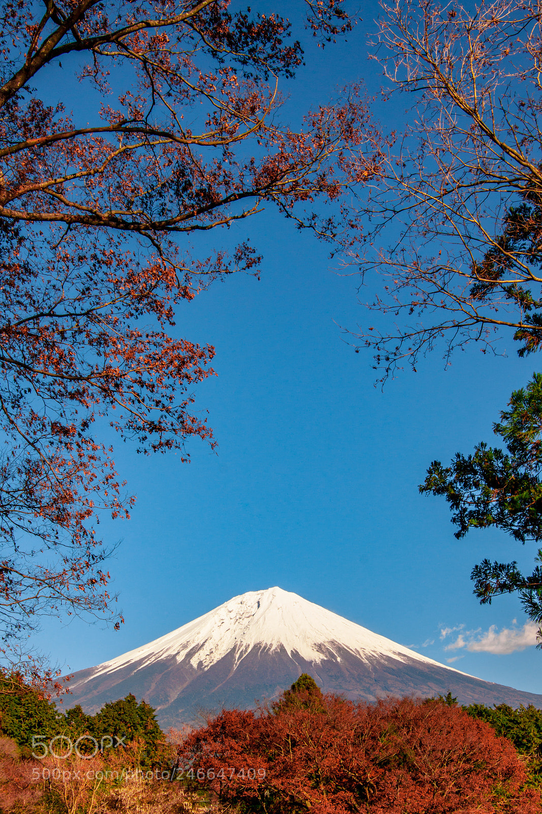 Canon EOS 500D (EOS Rebel T1i / EOS Kiss X3) sample photo. Mount fuji photography