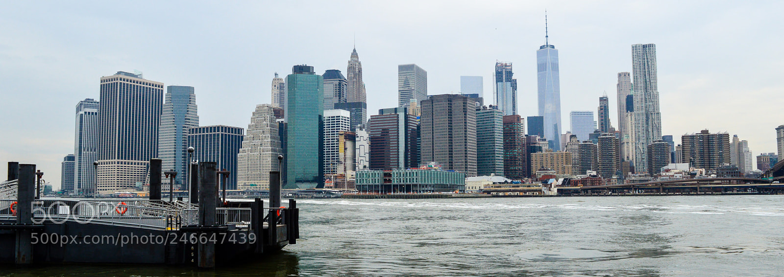 Nikon D3200 sample photo. Manhattan skyline from brooklyn photography
