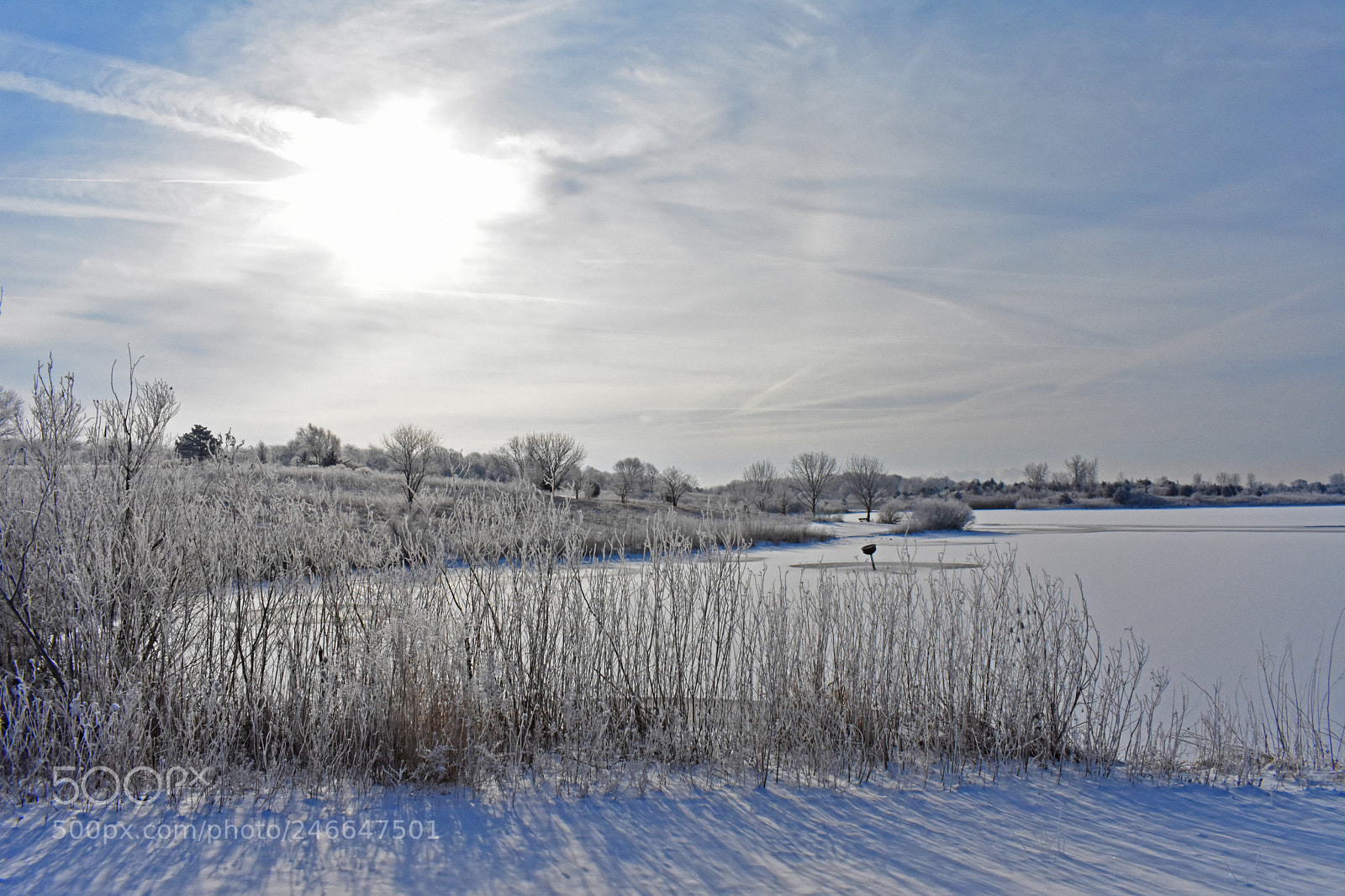 Nikon D7200 sample photo. Morning freeze photography