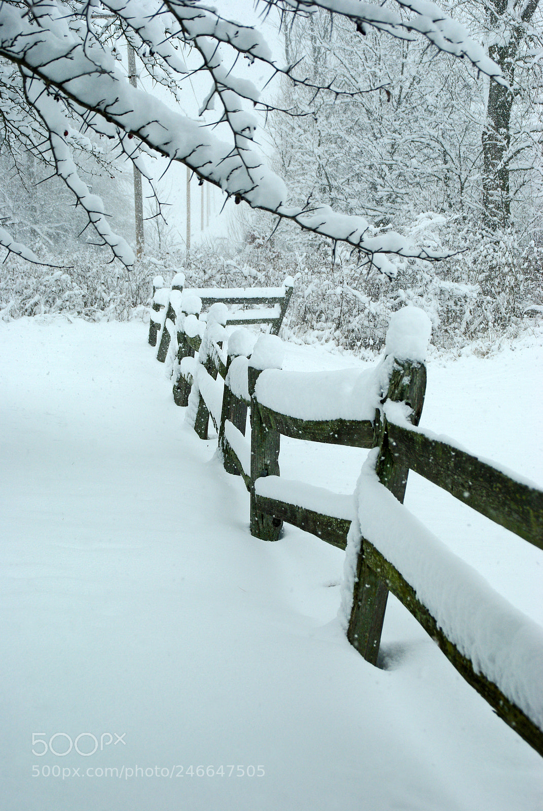 Pentax K200D sample photo. Snow day photography