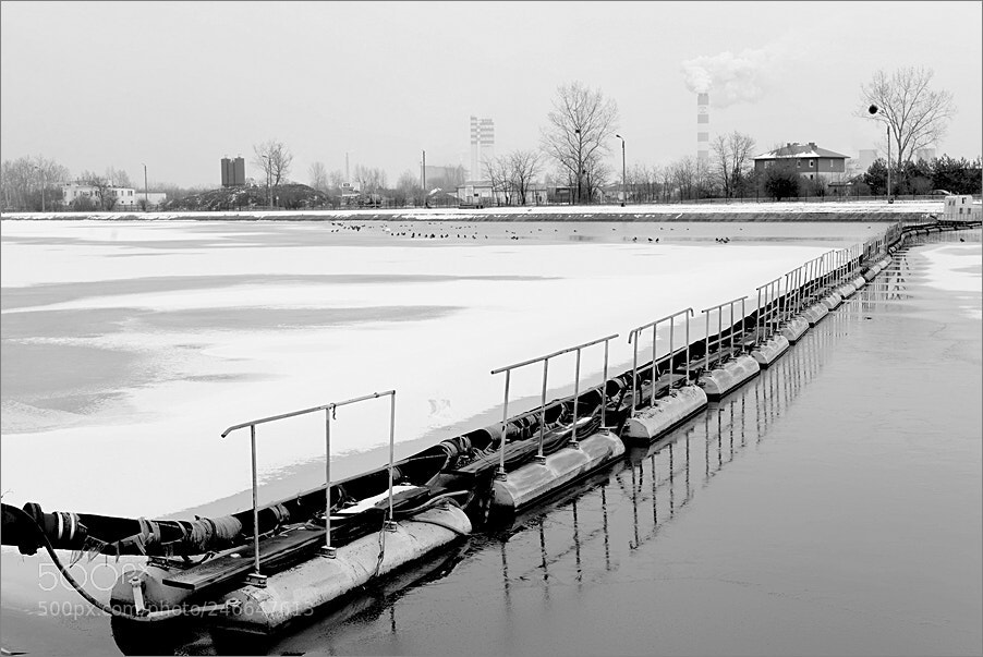 Nikon D610 sample photo. Long tube photography