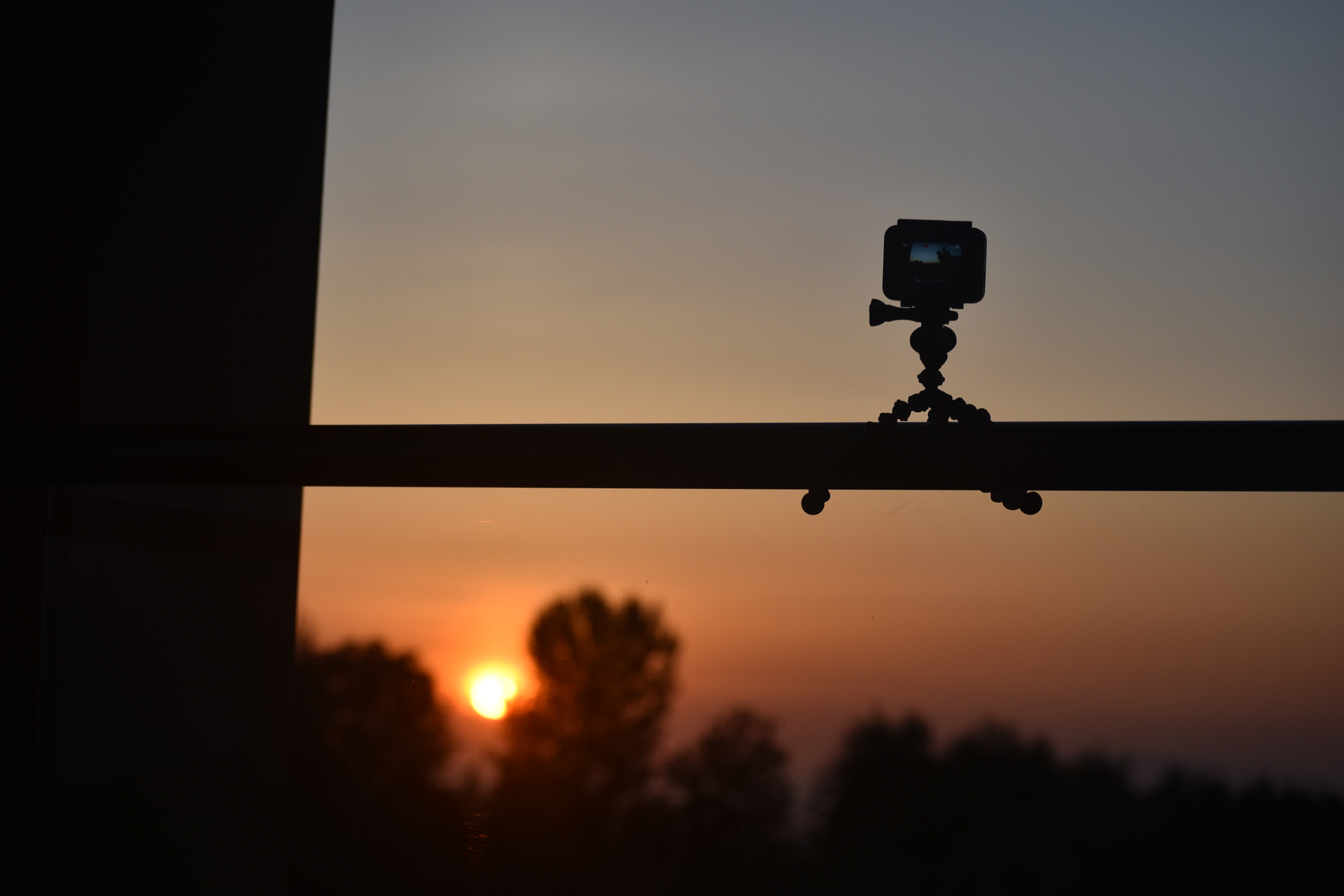 Nikon D5600 sample photo