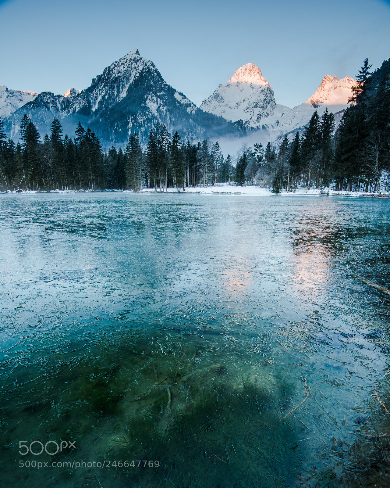 Nikon D800 sample photo. Frosty morning photography