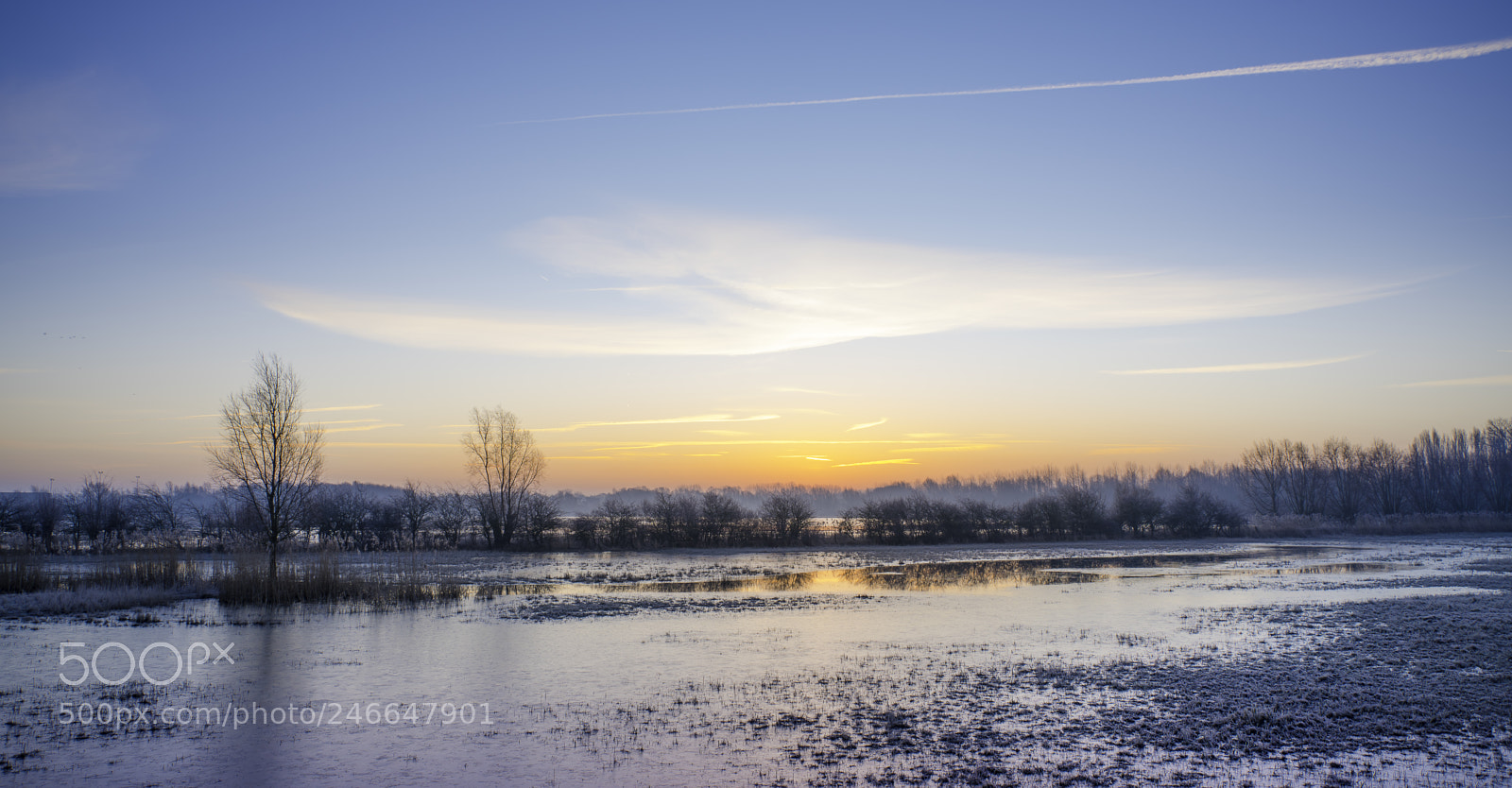 Sony a7 II sample photo. Cold morning ieper photography