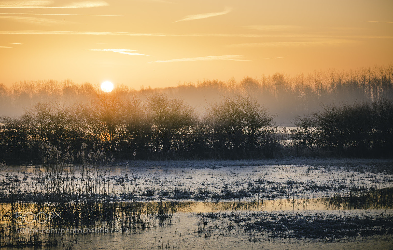 Sony a7 II sample photo. Cold morning ieper photography