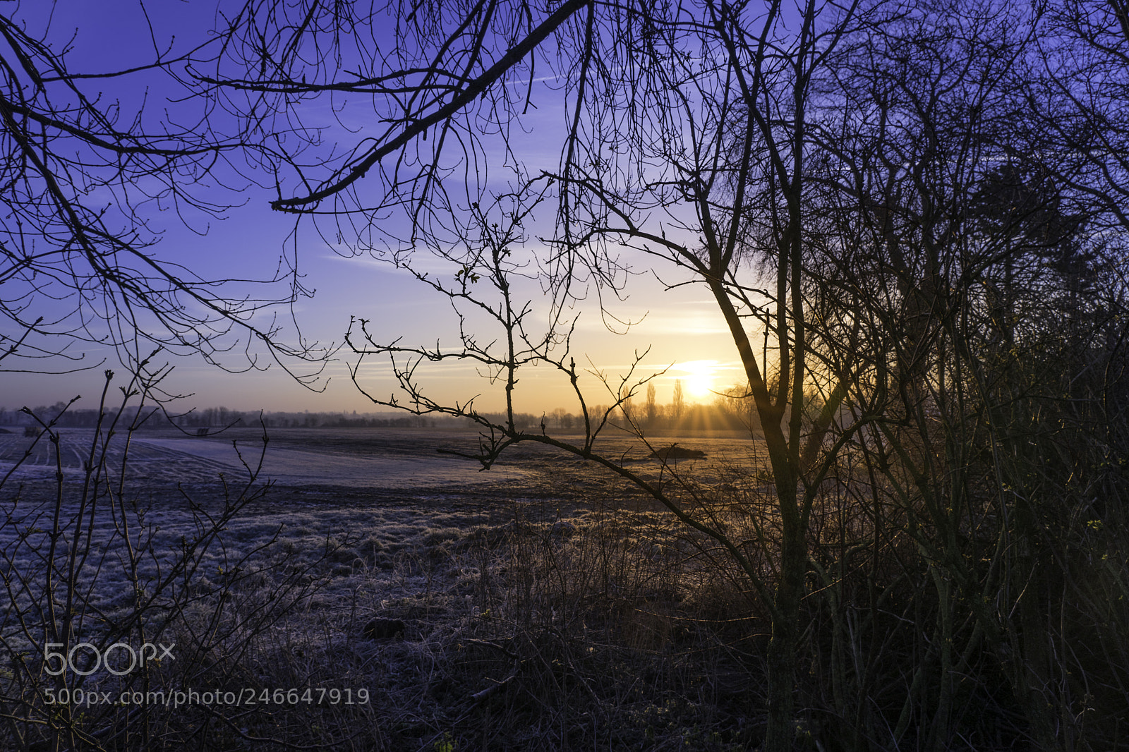 Sony a7 II sample photo. Cold morning ieper photography