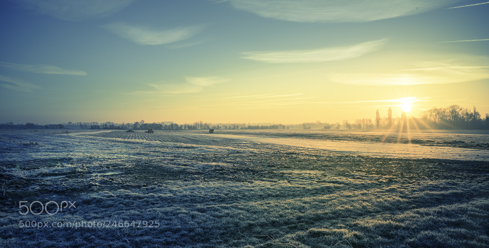 Sony a7 II sample photo. Cold morning ieper photography
