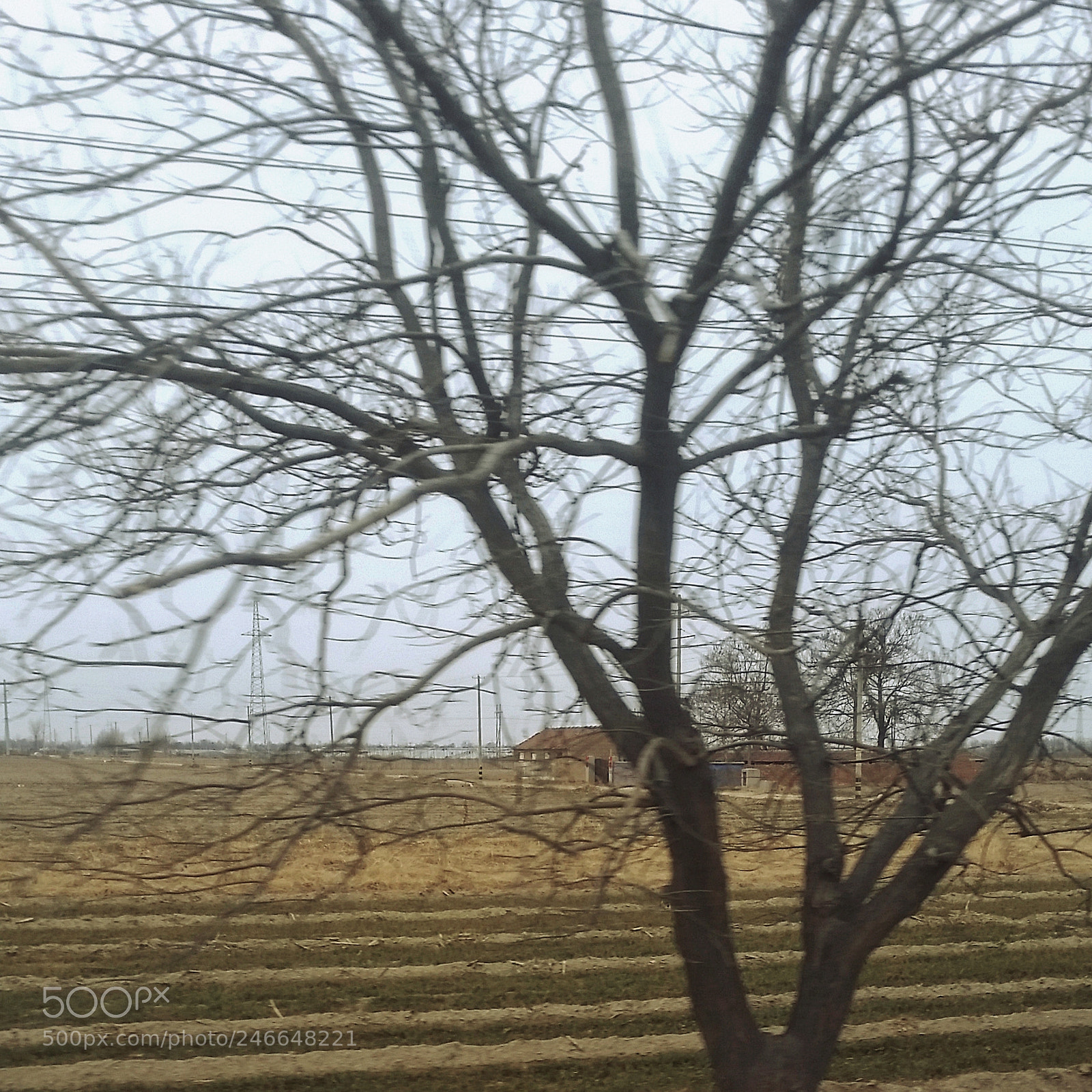 Samsung Galaxy S5 sample photo. Leave the village back photography