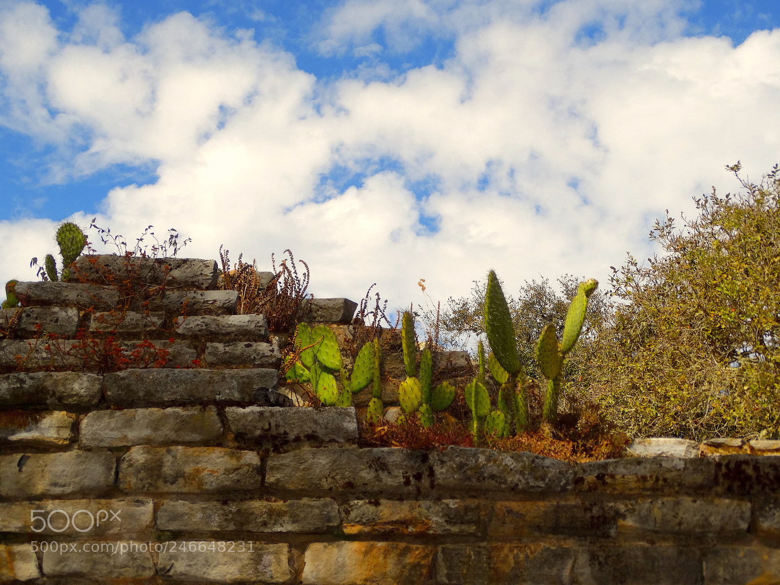 Sony Cyber-shot DSC-HX300 sample photo. Prehispanic ruins, mexico photography
