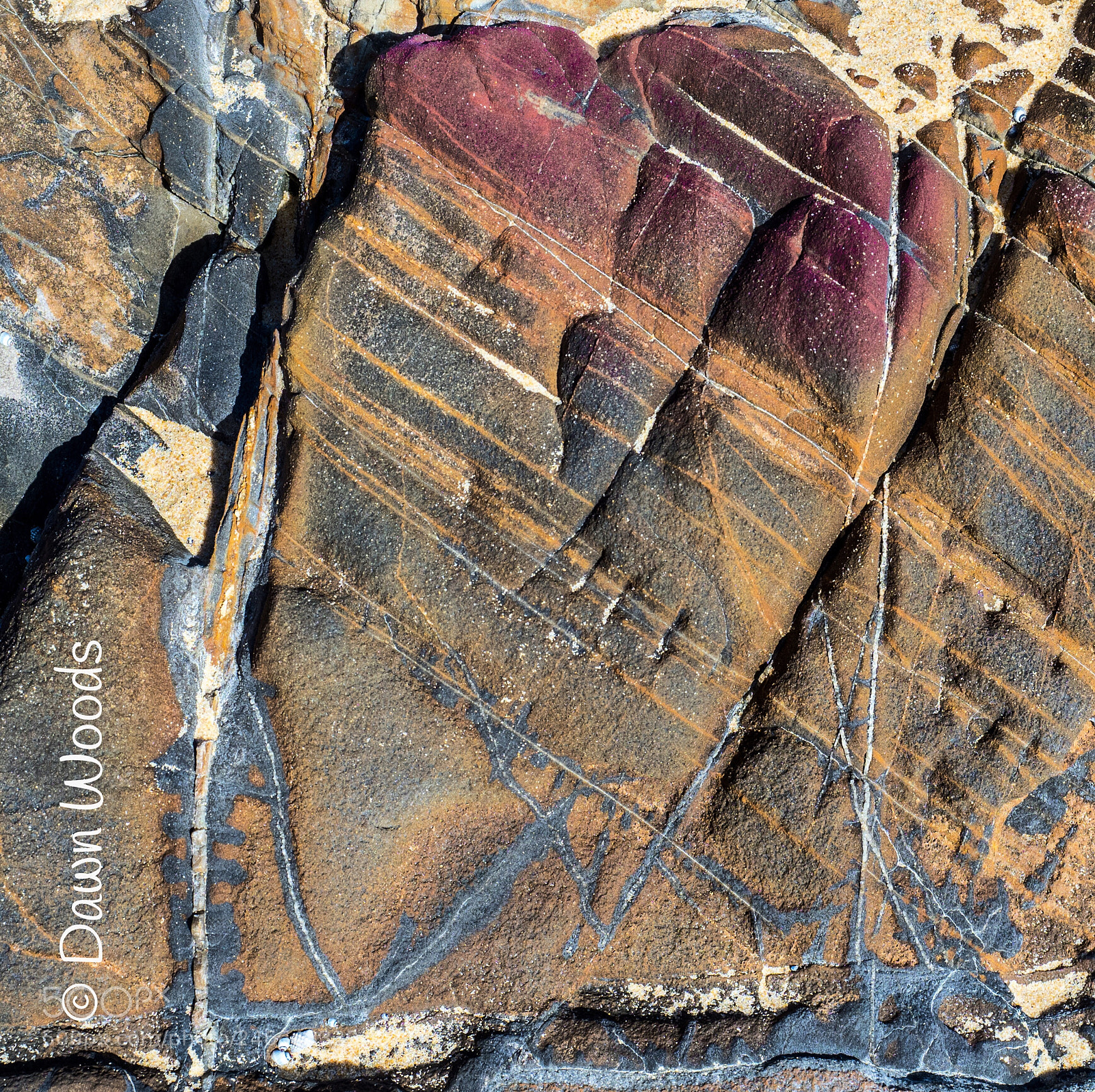 Olympus OM-D E-M1 Mark II sample photo. A sandstone map photography