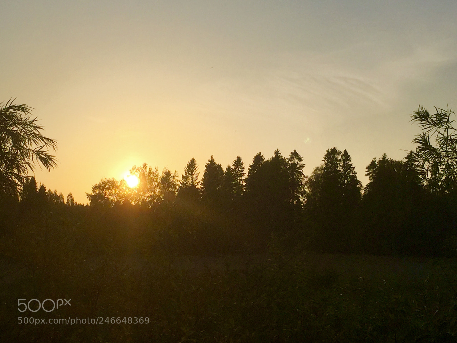 Apple iPhone 6 Plus sample photo. September sunset in southern photography