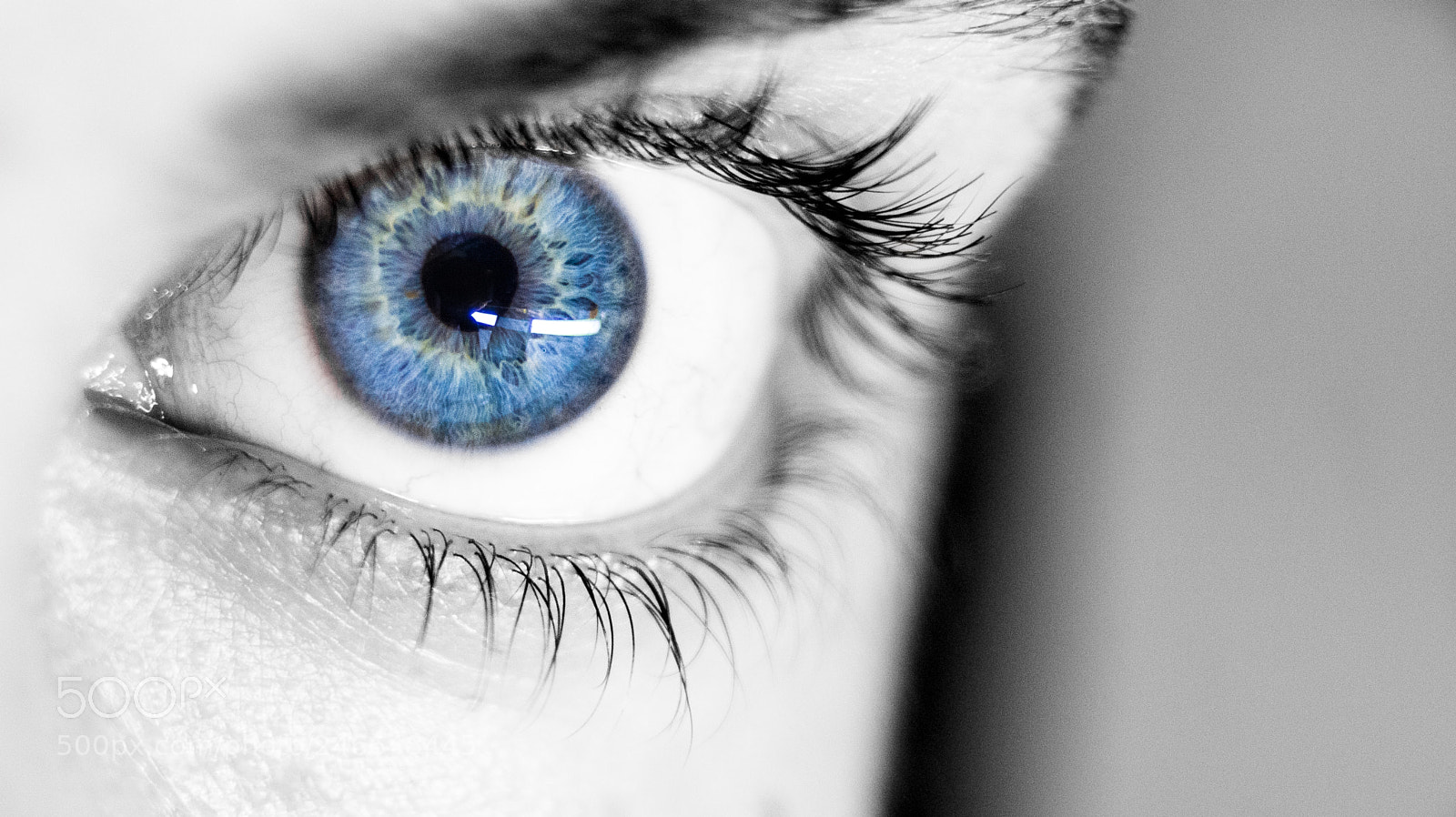 Nikon D7200 sample photo. Eye photography