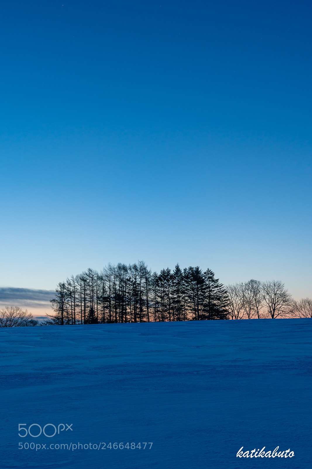 Sony a9 sample photo. Cold morning photography