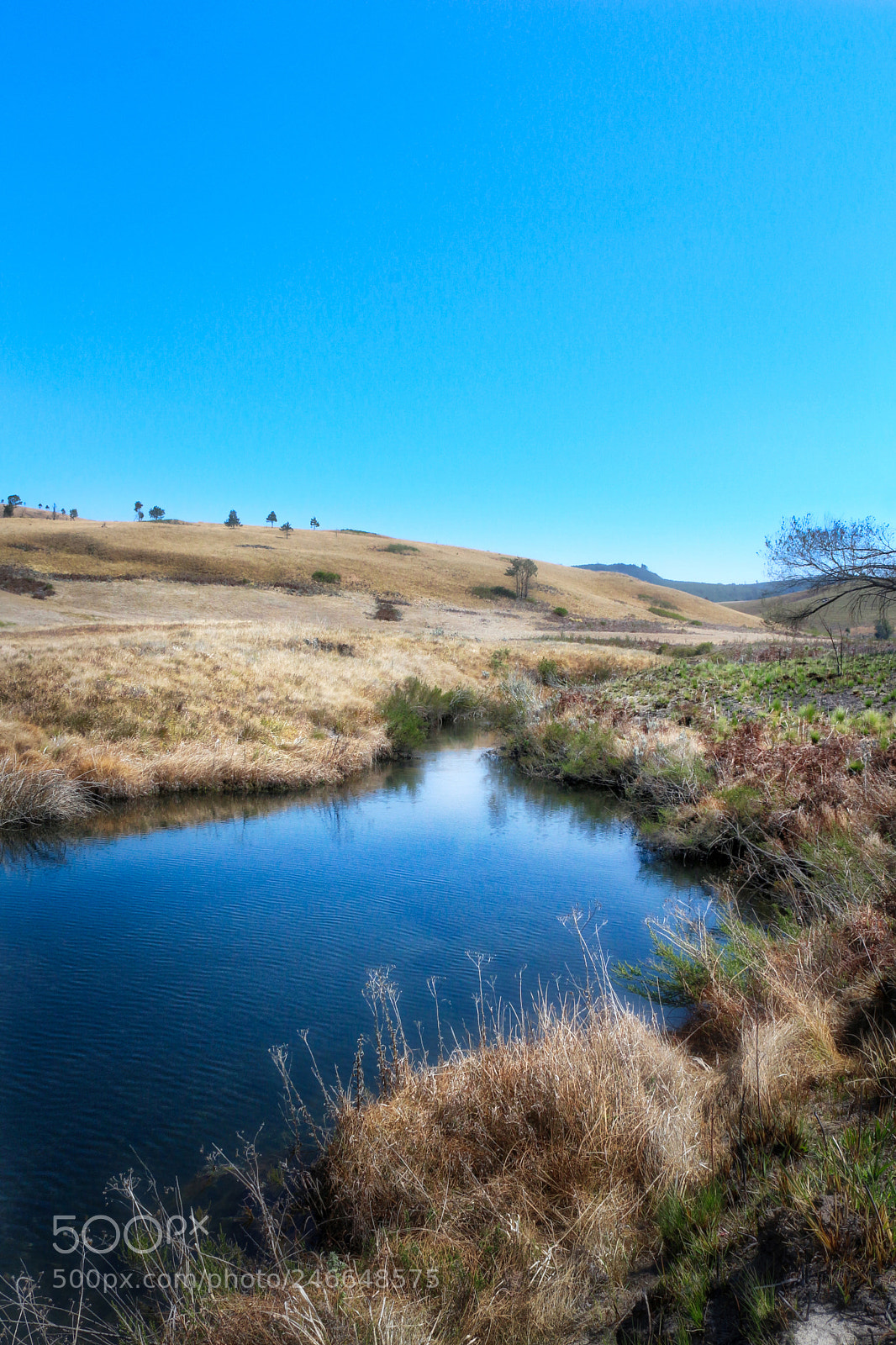 Canon EOS 100D (EOS Rebel SL1 / EOS Kiss X7) sample photo. Pretty pond photography