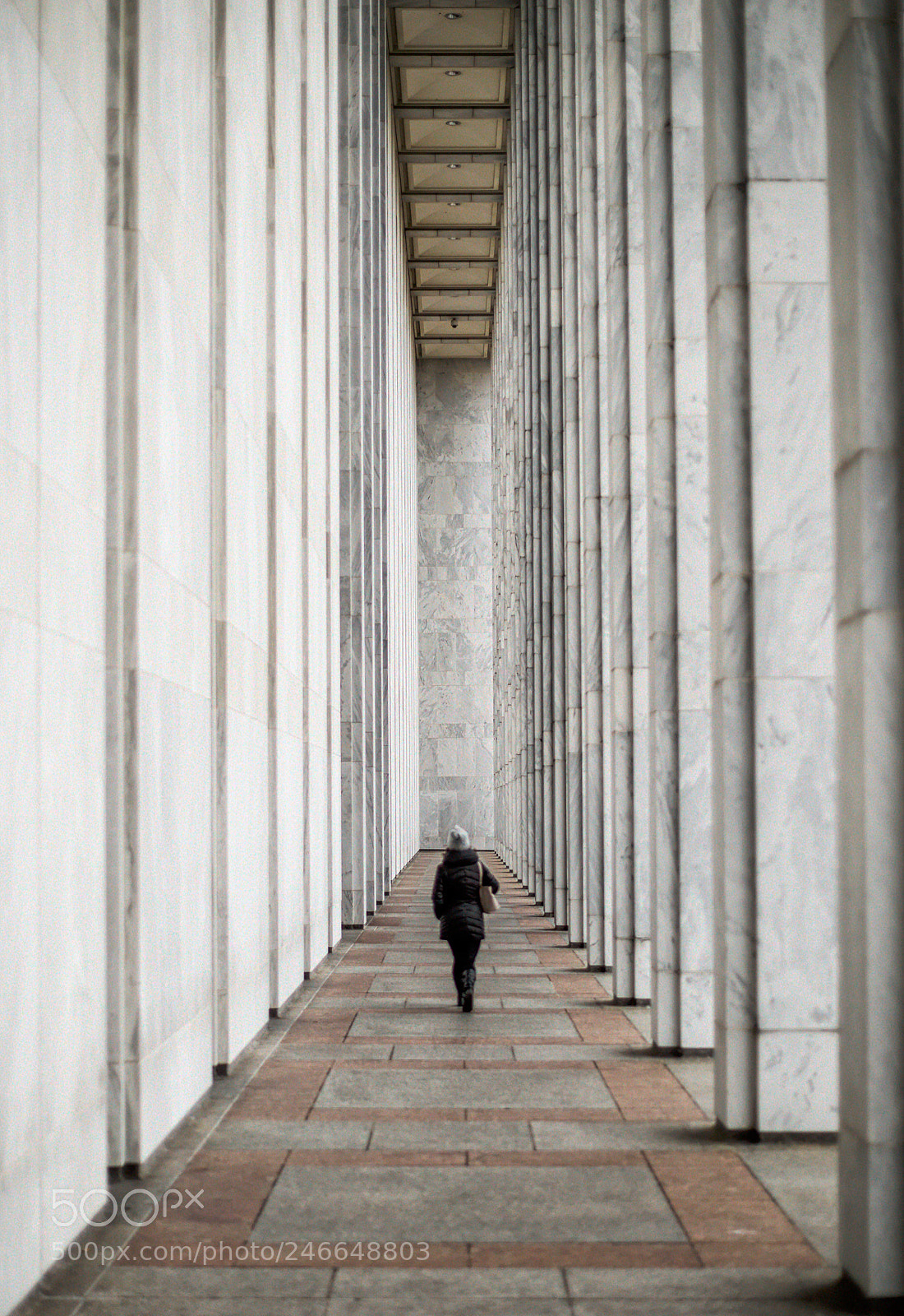 Nikon Df sample photo. Towering pillars photography