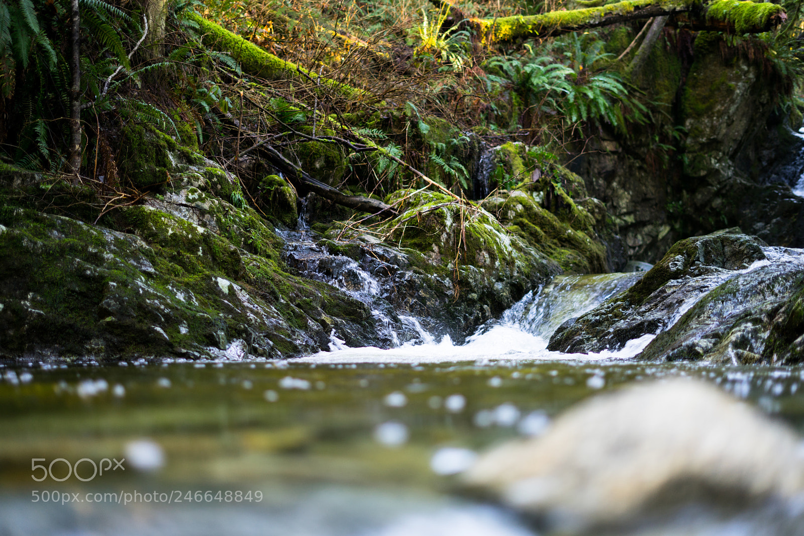 Sony a7 II sample photo. Dsc photography