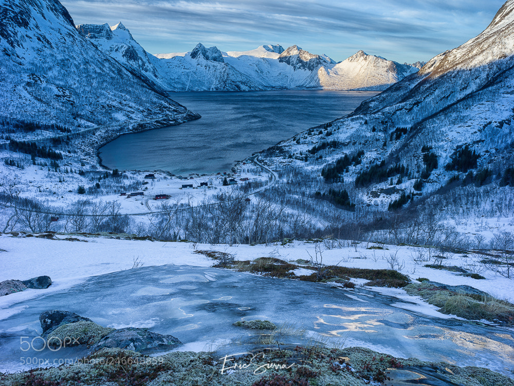 Hasselblad X1D-50c sample photo. View point photography