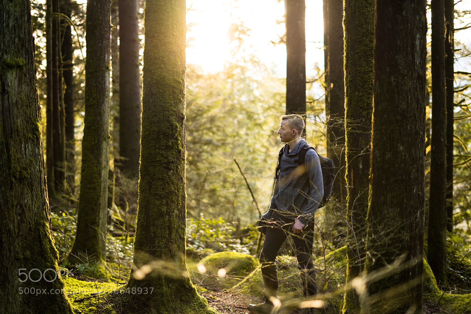 Sony a7 II sample photo. Dsc photography