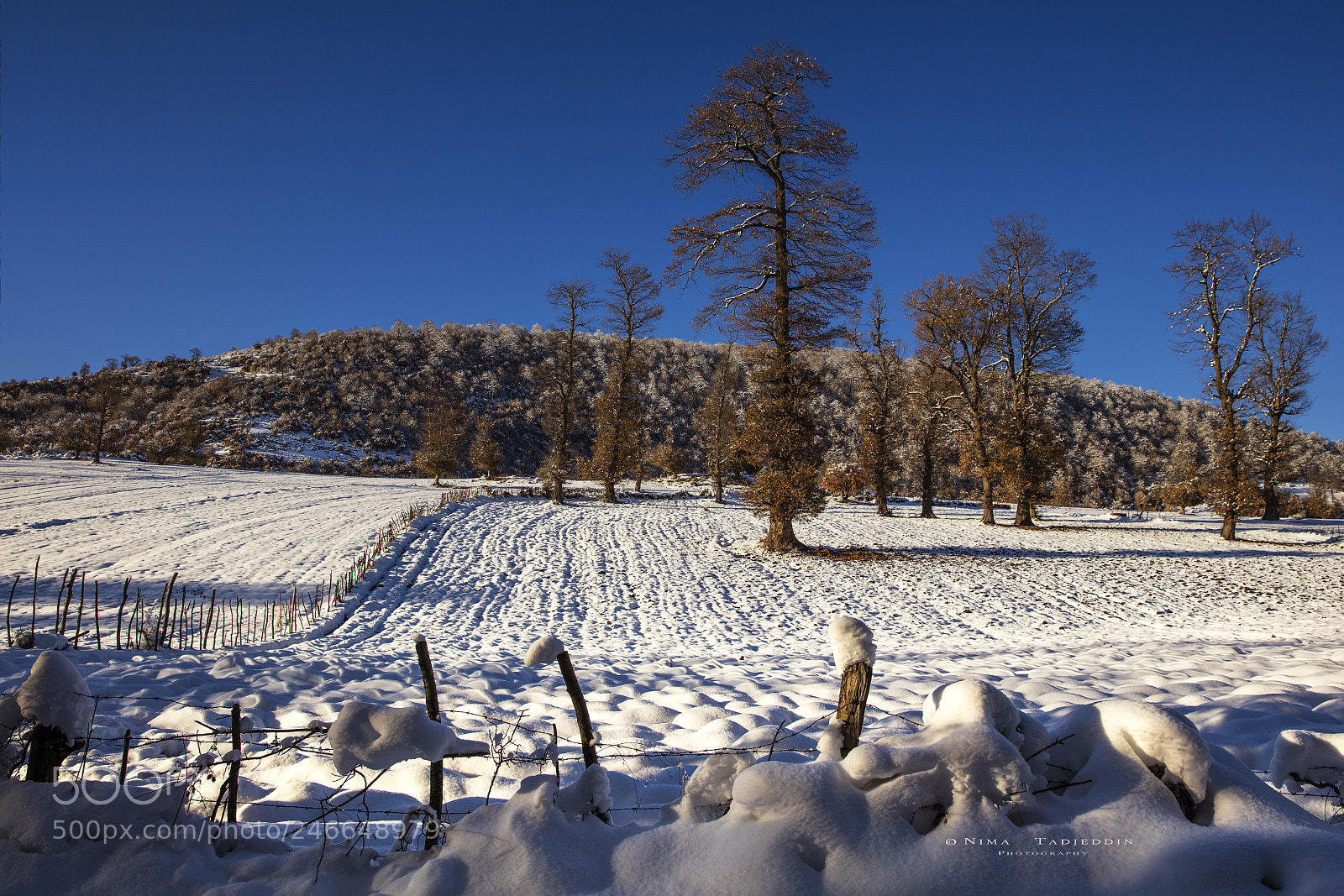 Canon EOS 5DS R sample photo. Over there photography