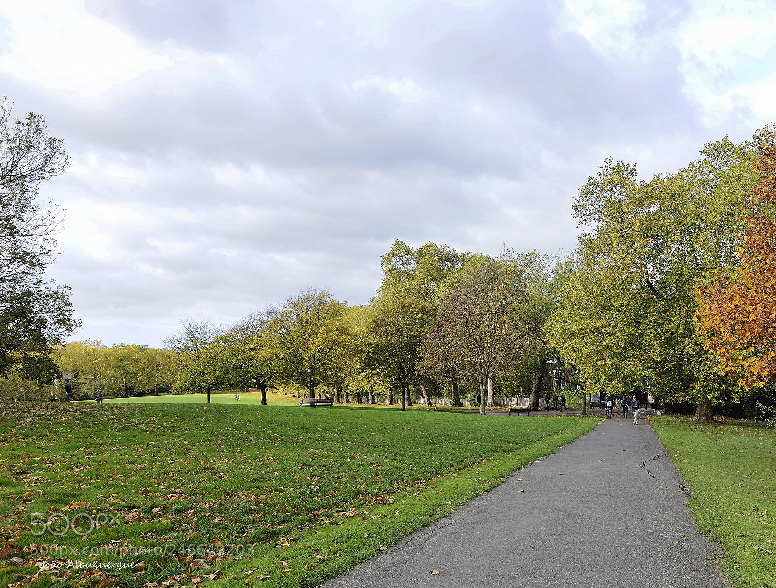 Nikon D600 sample photo. Primrose hill park in photography