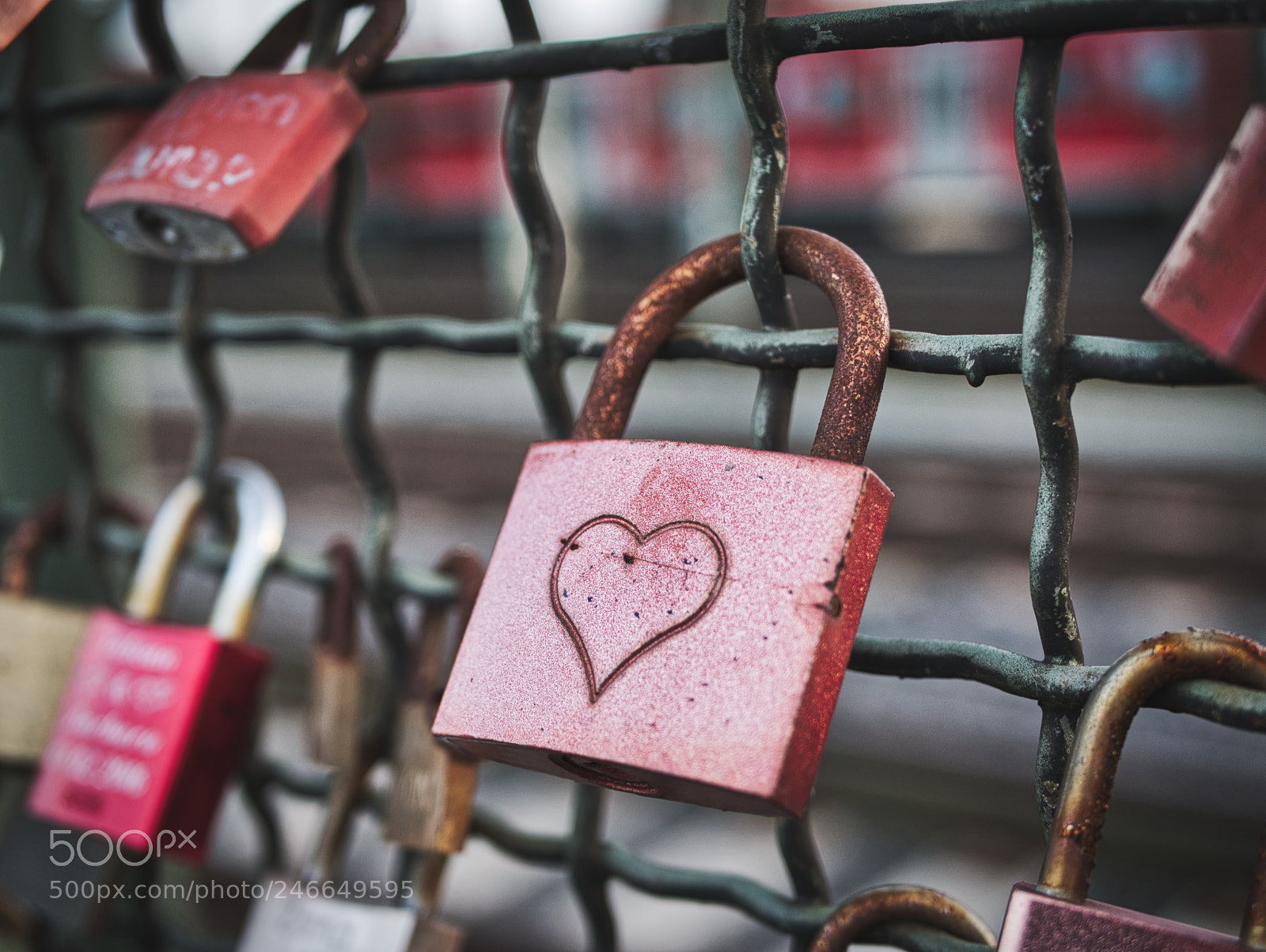 Panasonic DMC-G70 sample photo. ❤️ heart photography